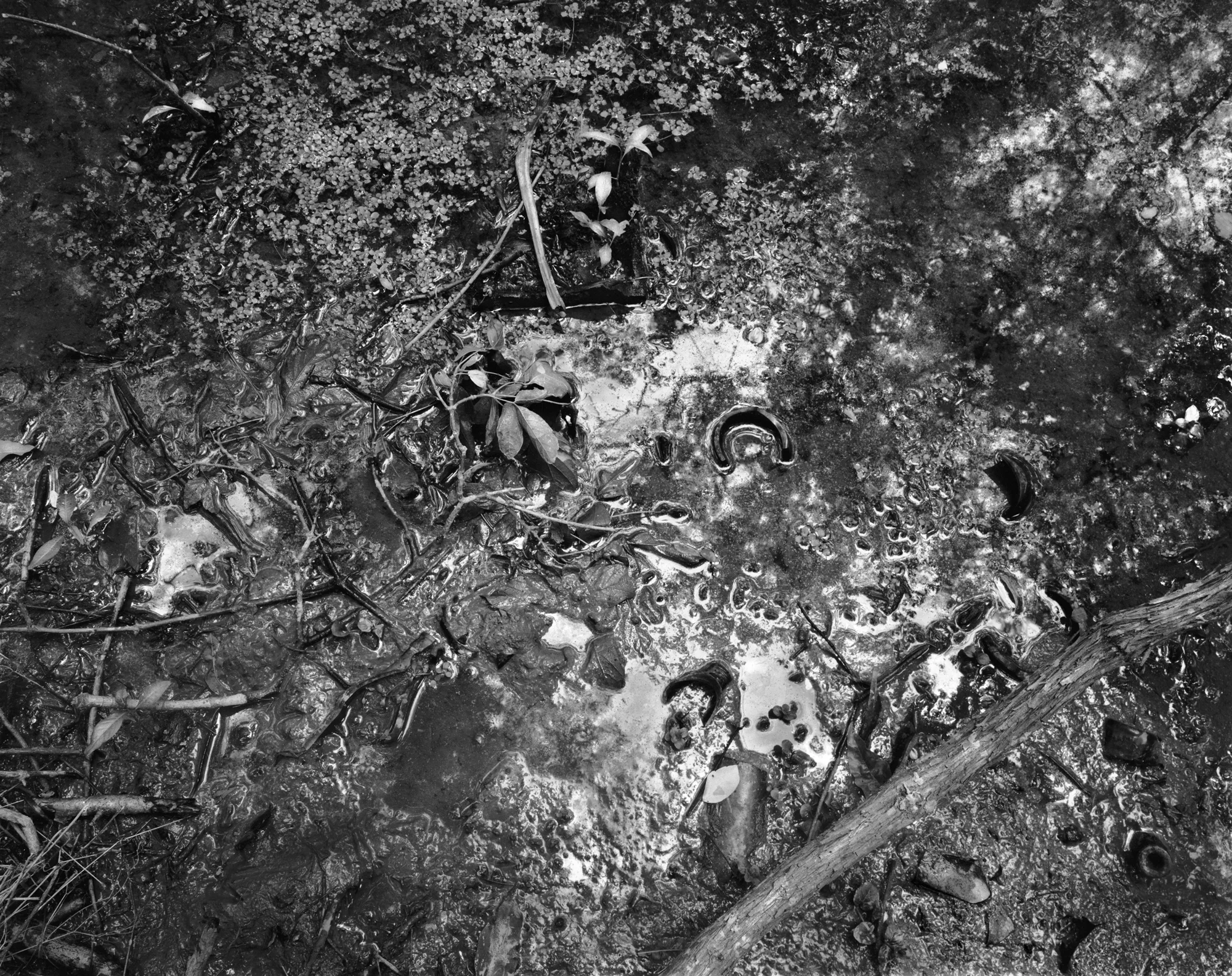 broken-glass-swamp.jpg