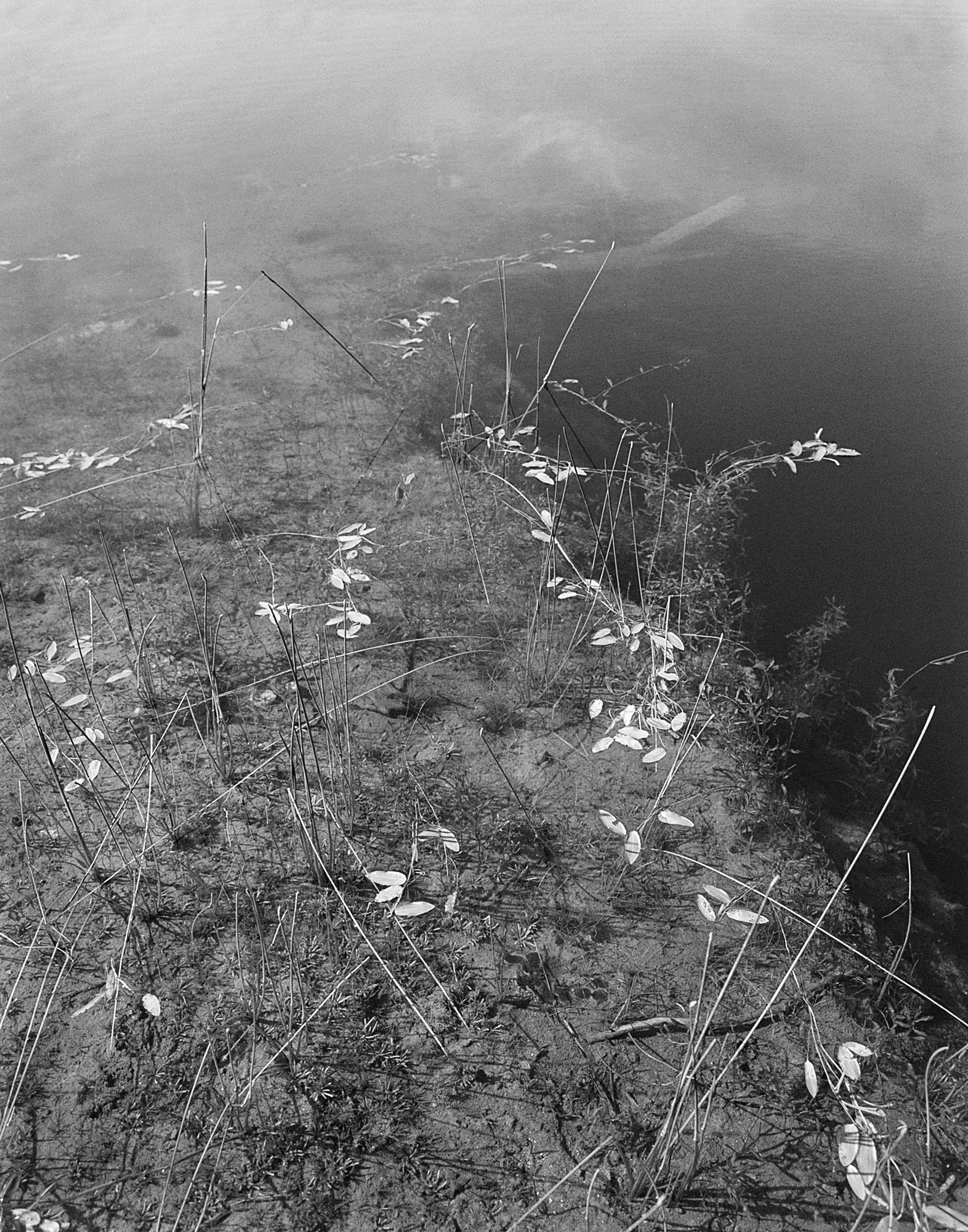 lake-edge.jpg