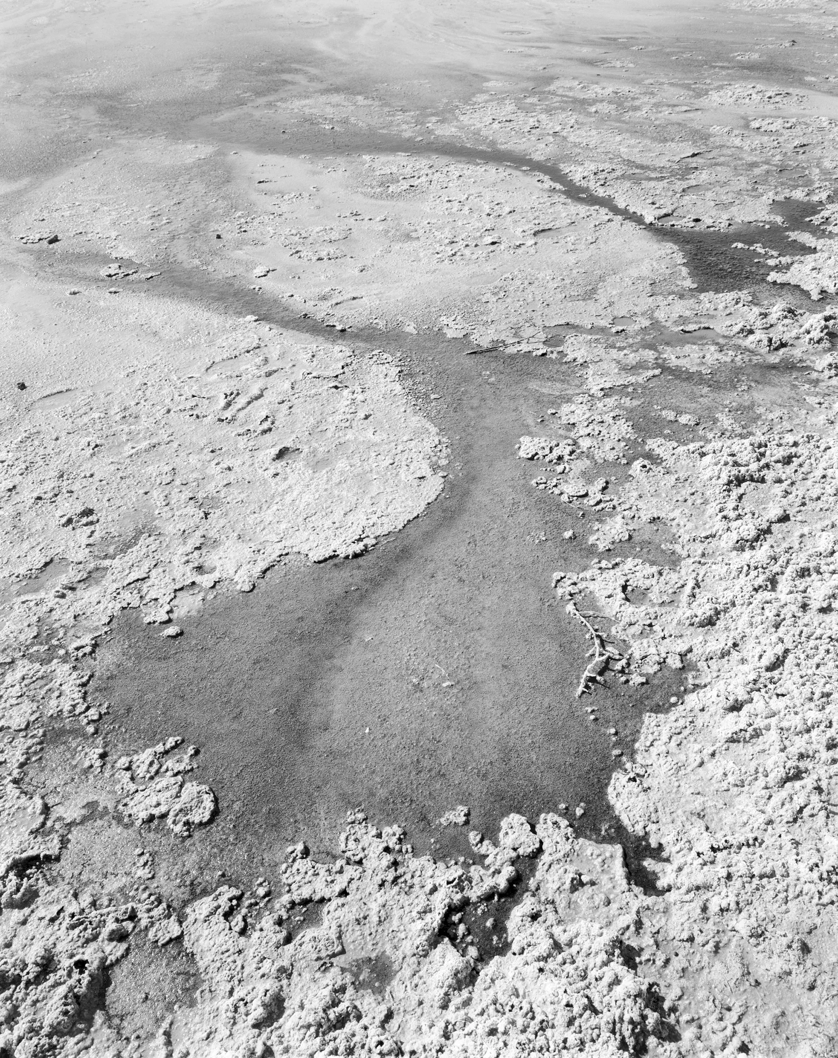salt-delta-$110.jpg