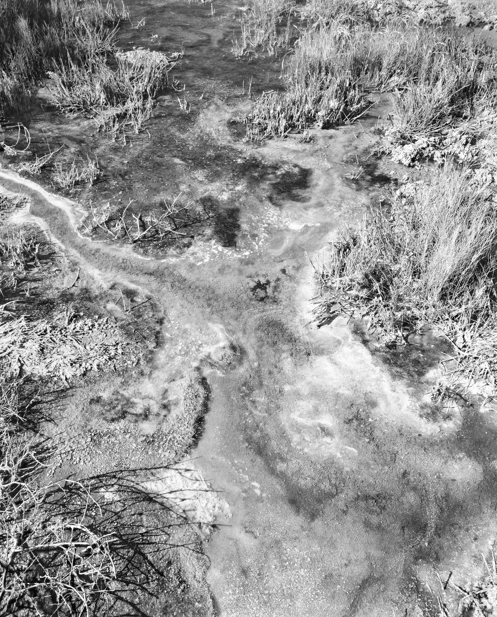 sludge-delta--small.jpg