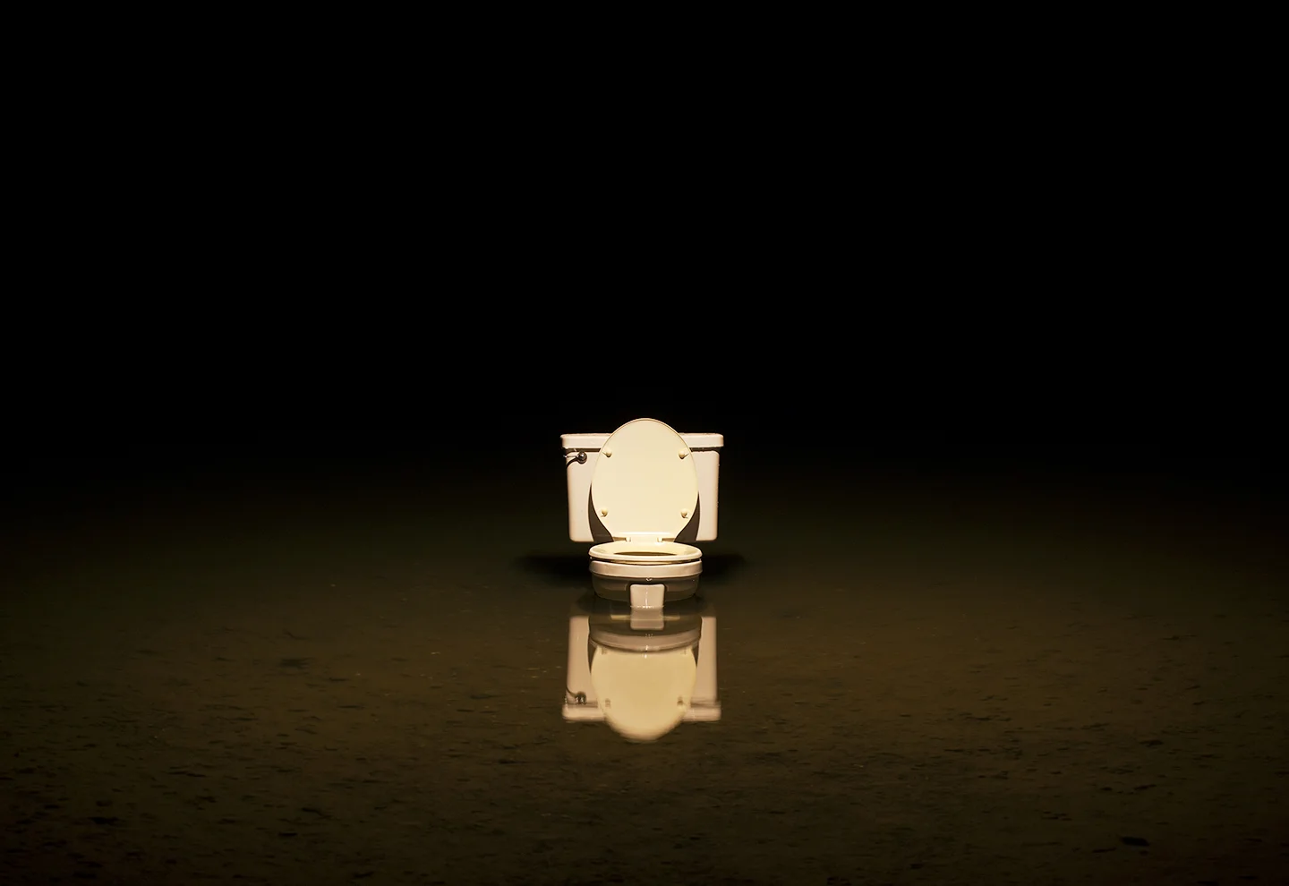 "Lagoon Toilet", temporary installation, 2018.