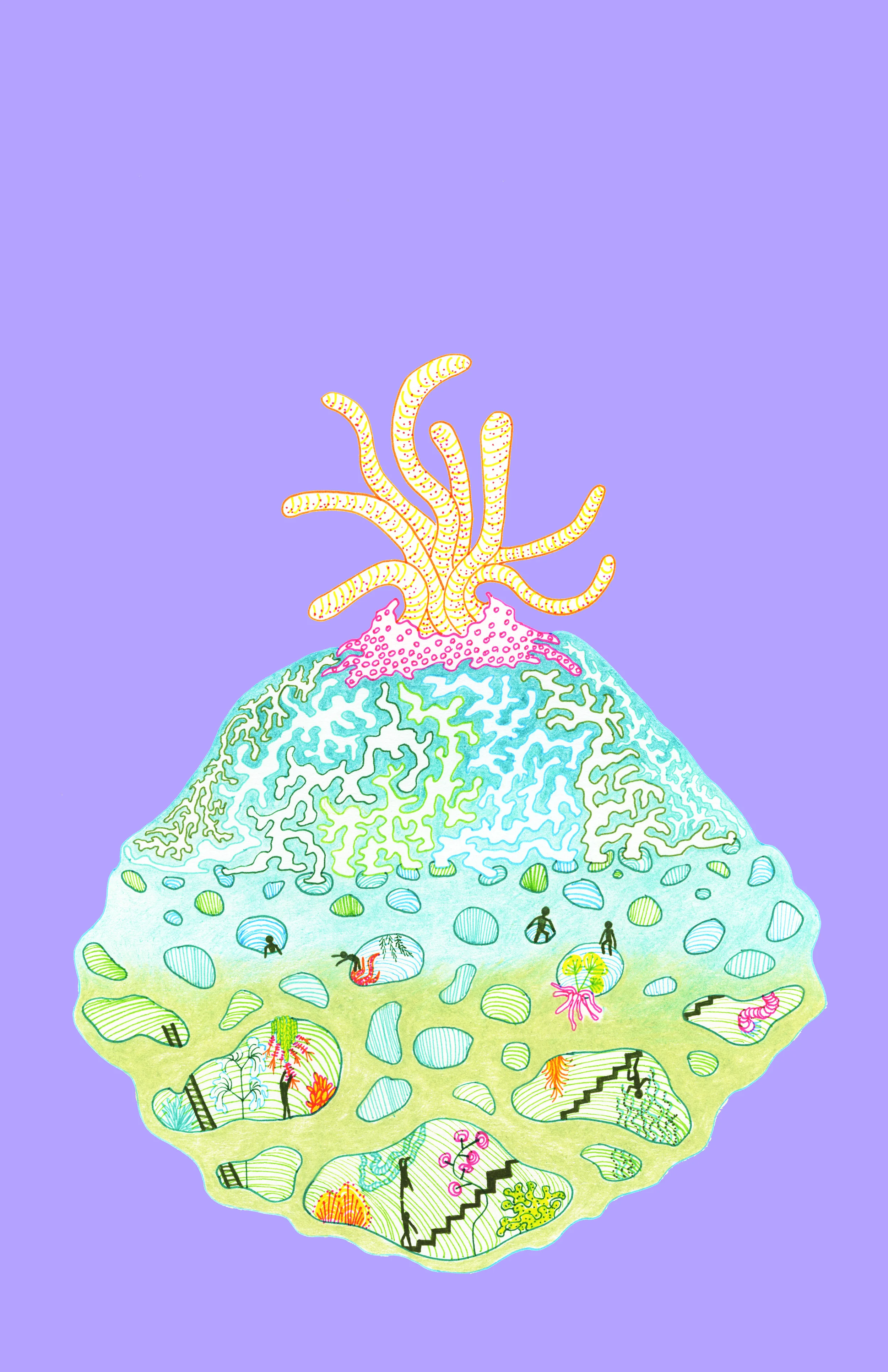 Anemone Asteroid