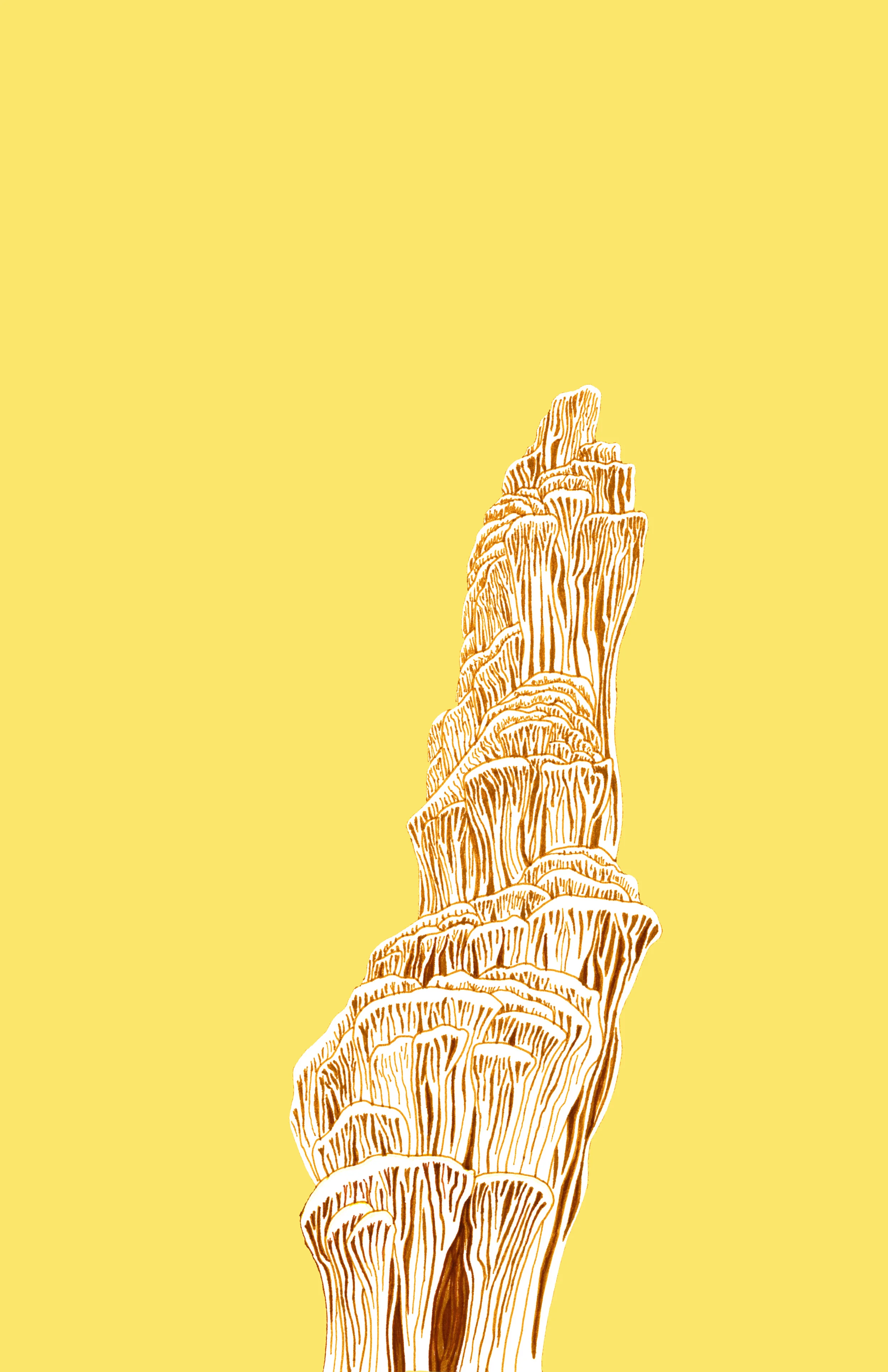 Stalactite