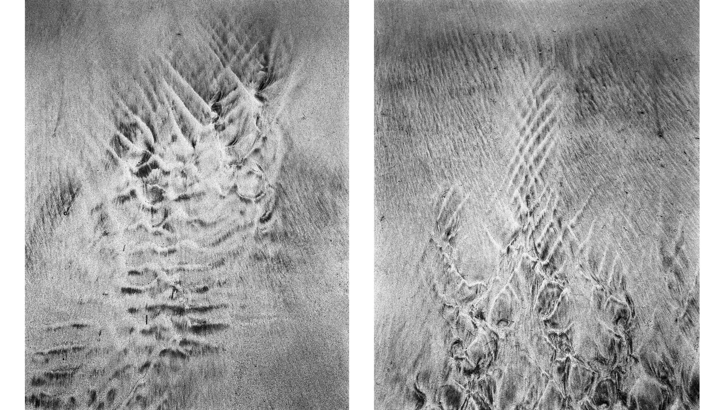 Diptych1.jpg