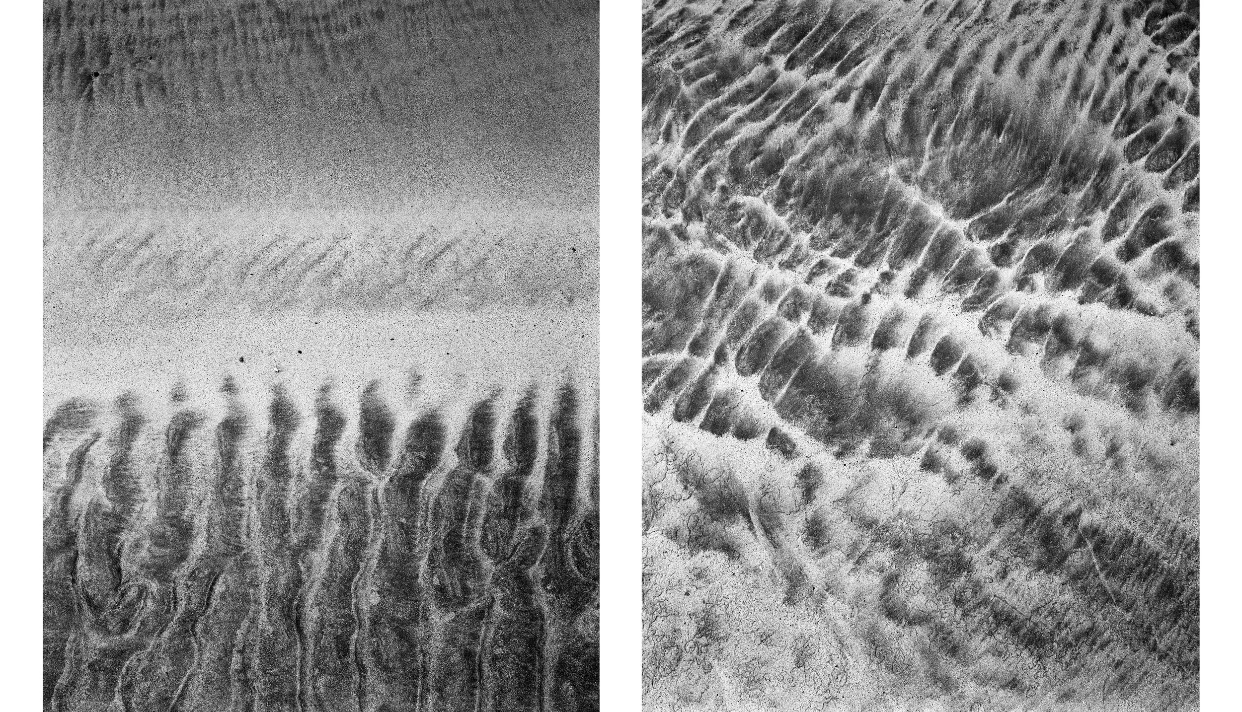 Diptych3.jpg