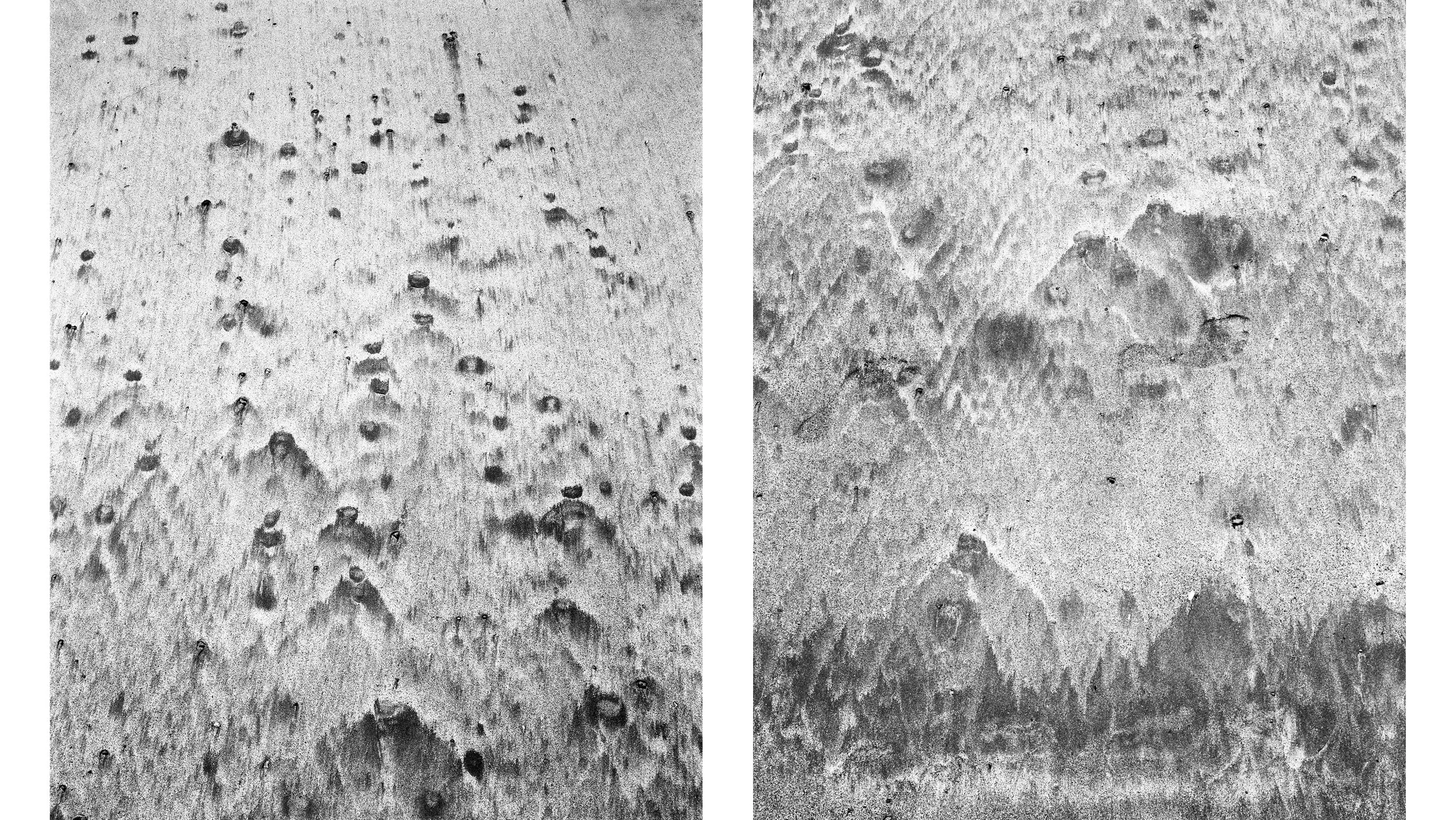 Diptych4.jpg
