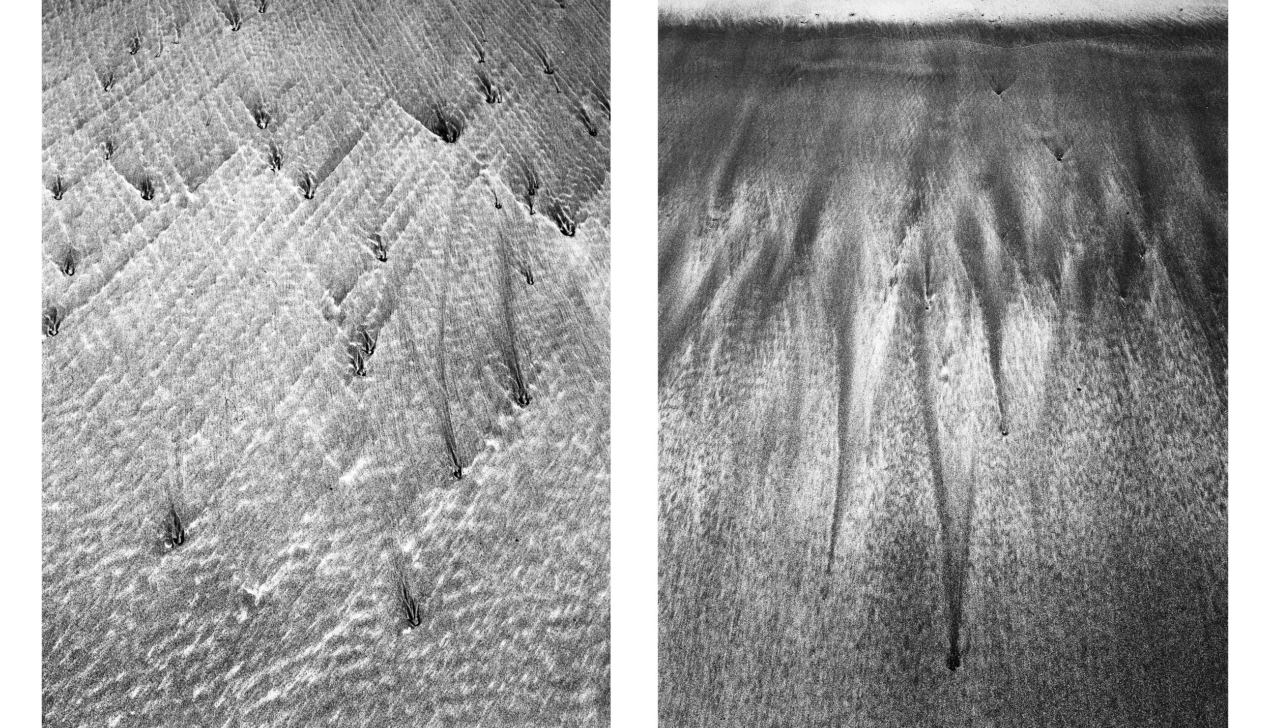 Diptych8.jpg
