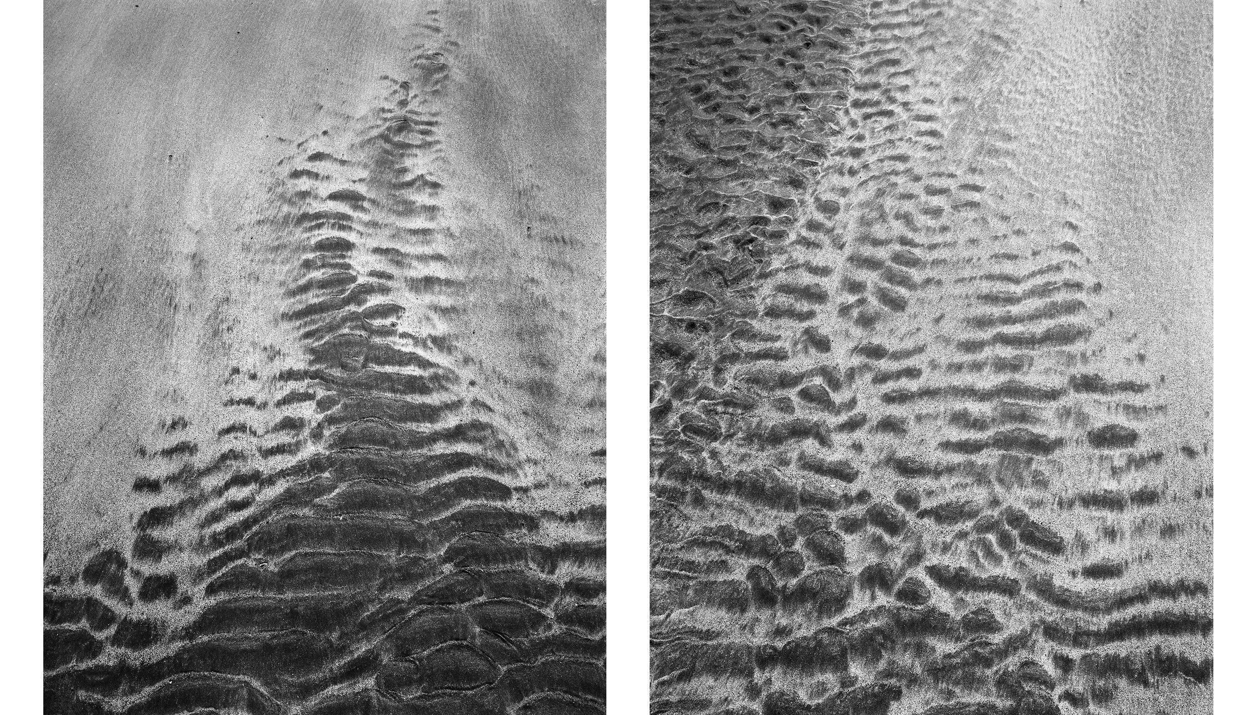 Diptych9.jpg