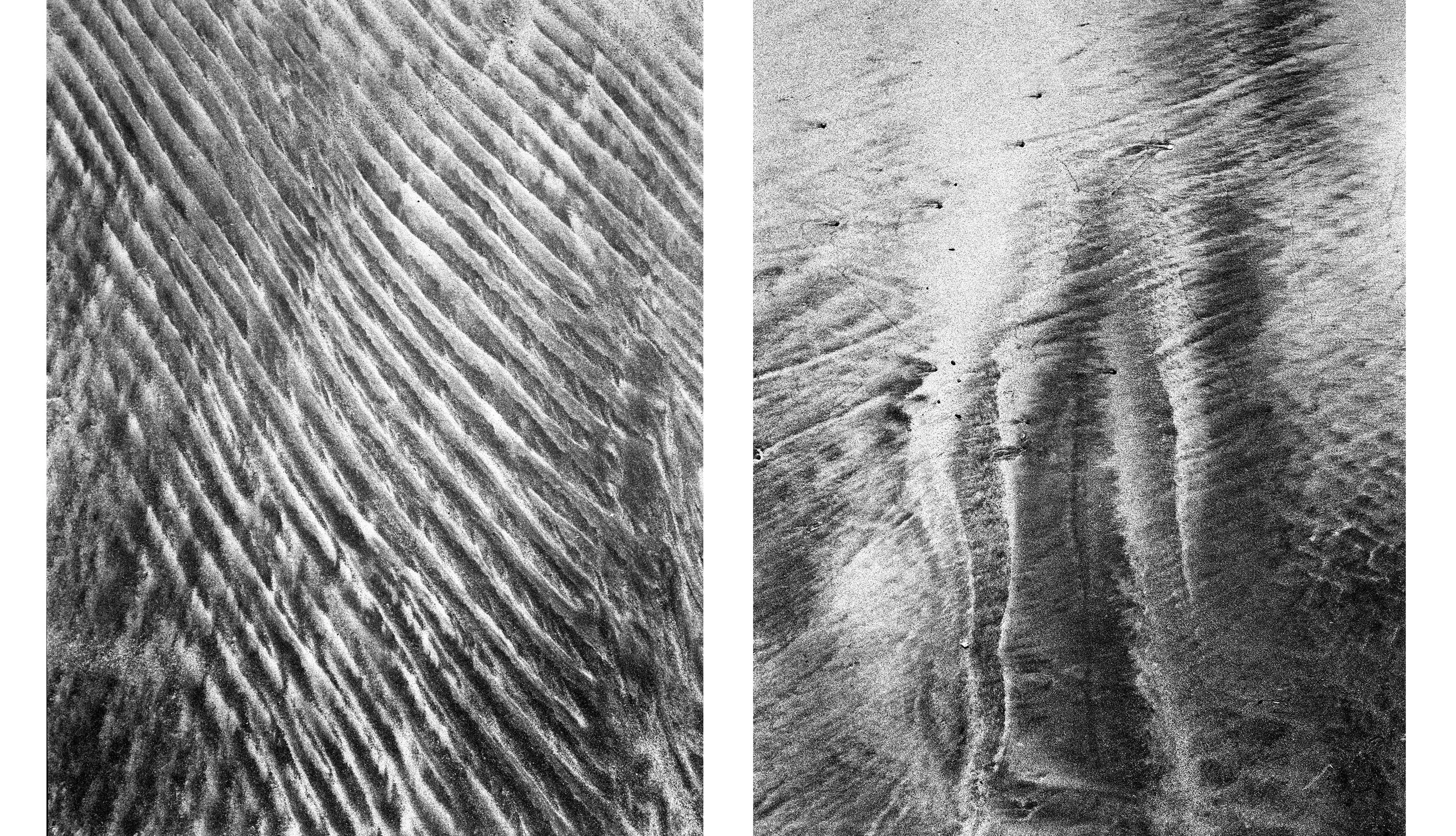 Diptych11.jpg