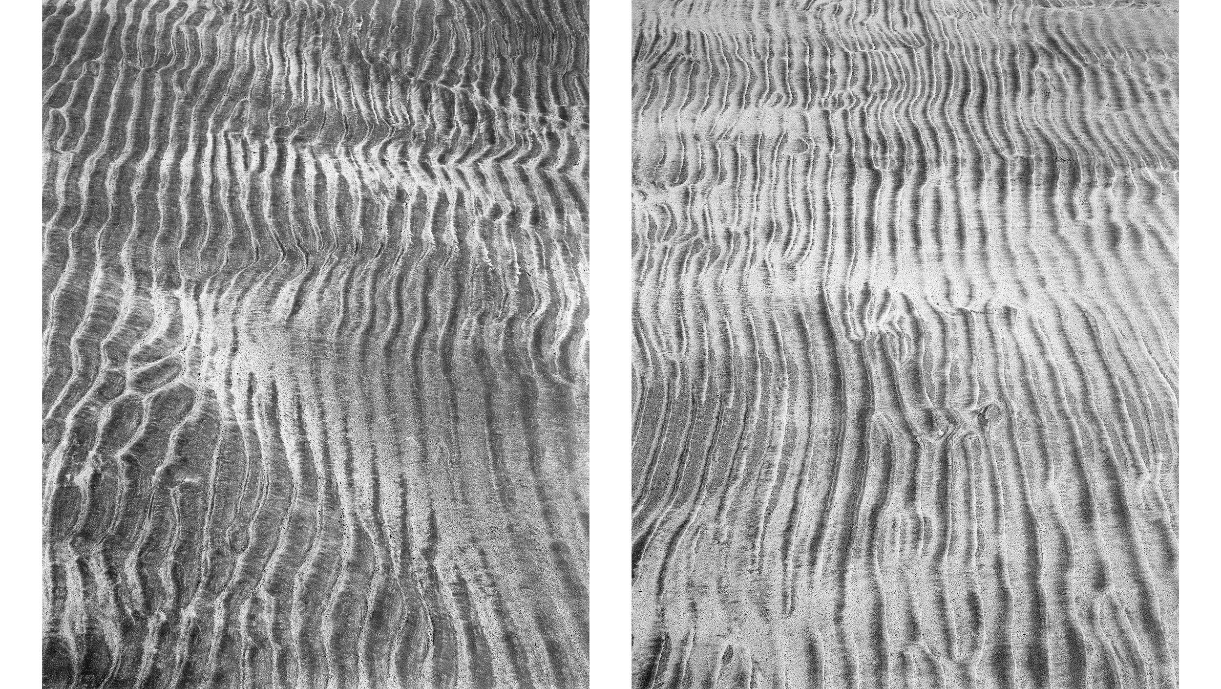 Diptych13.jpg