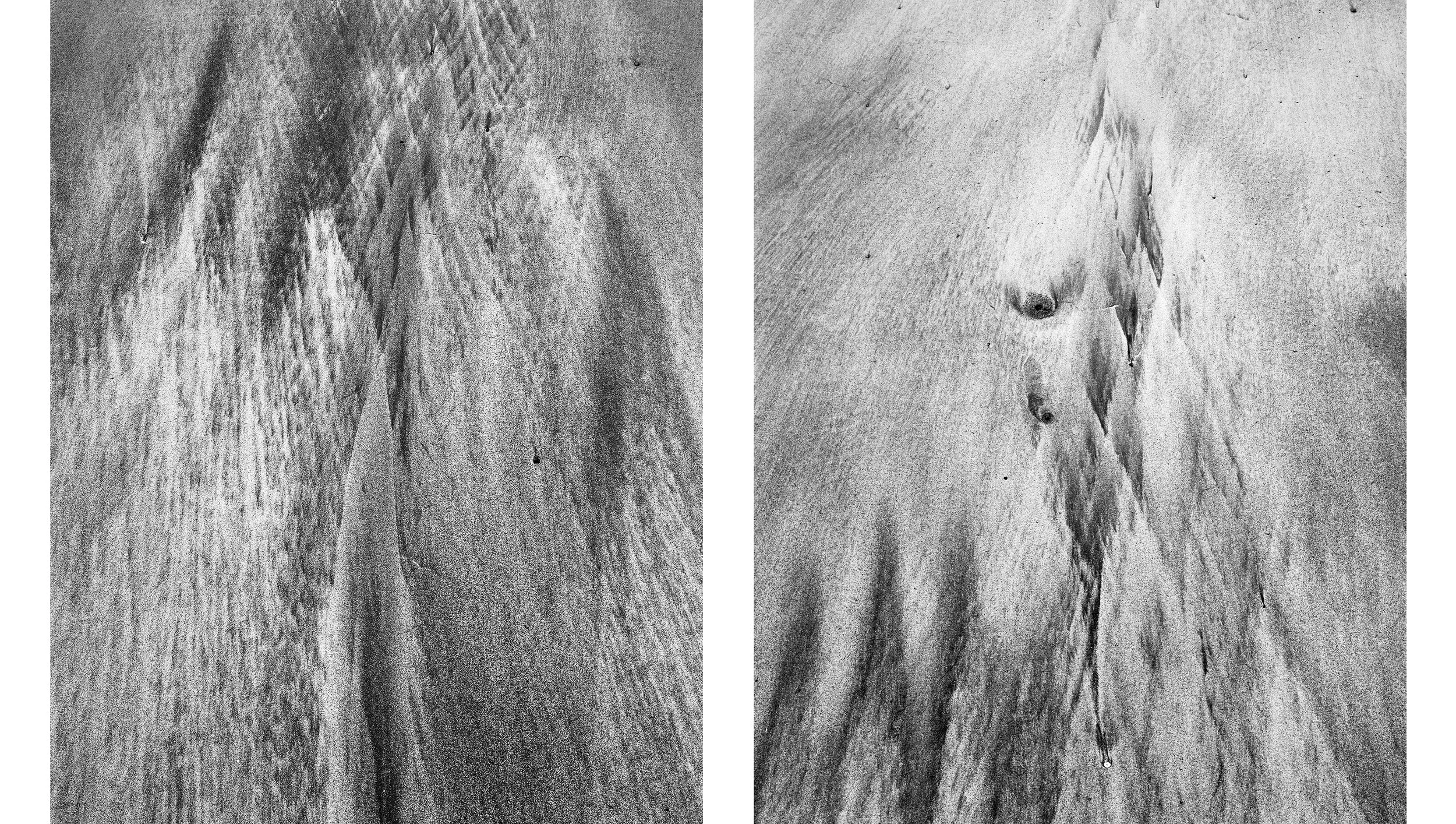 Diptych14.jpg