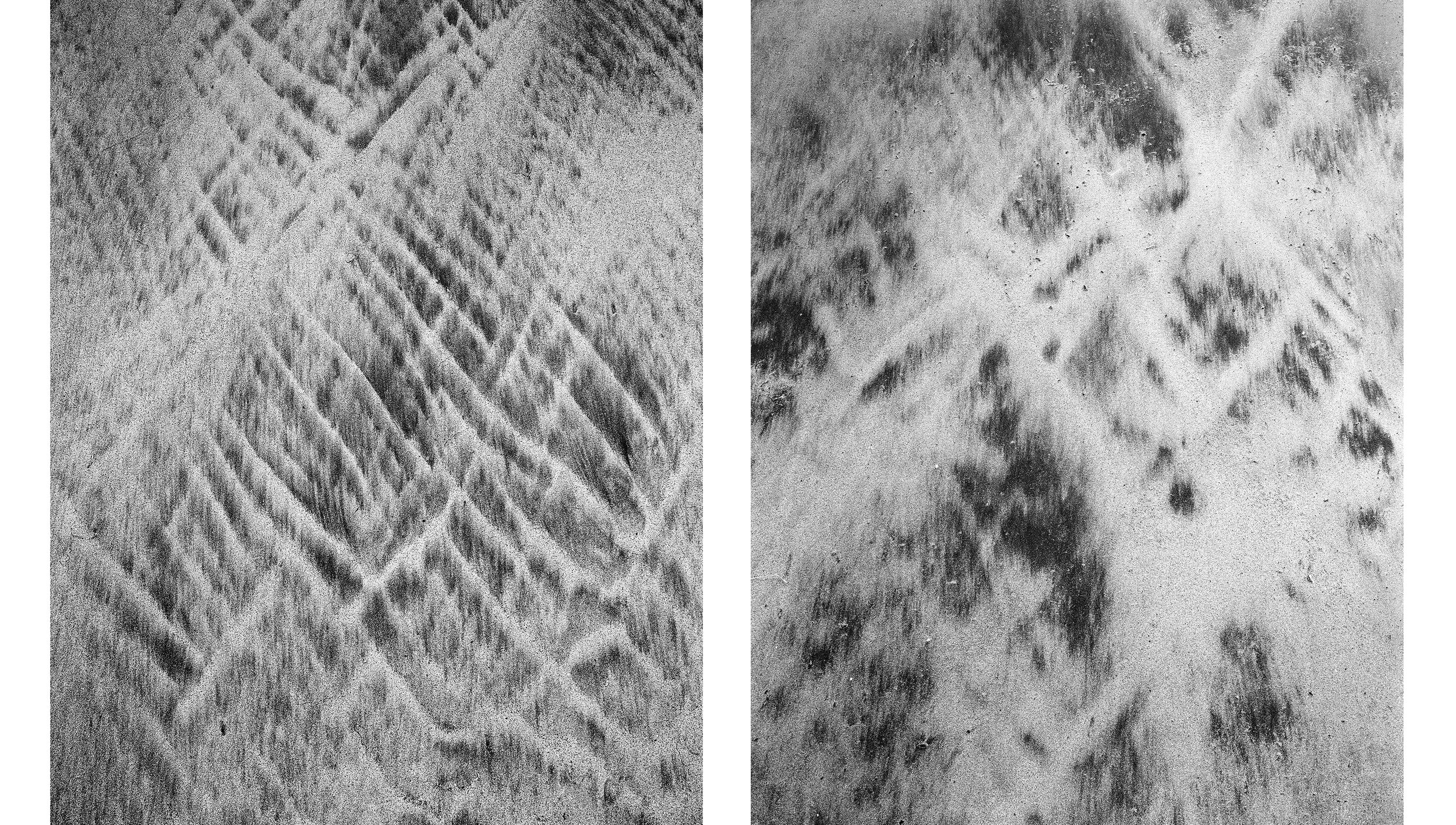 Diptych16.jpg