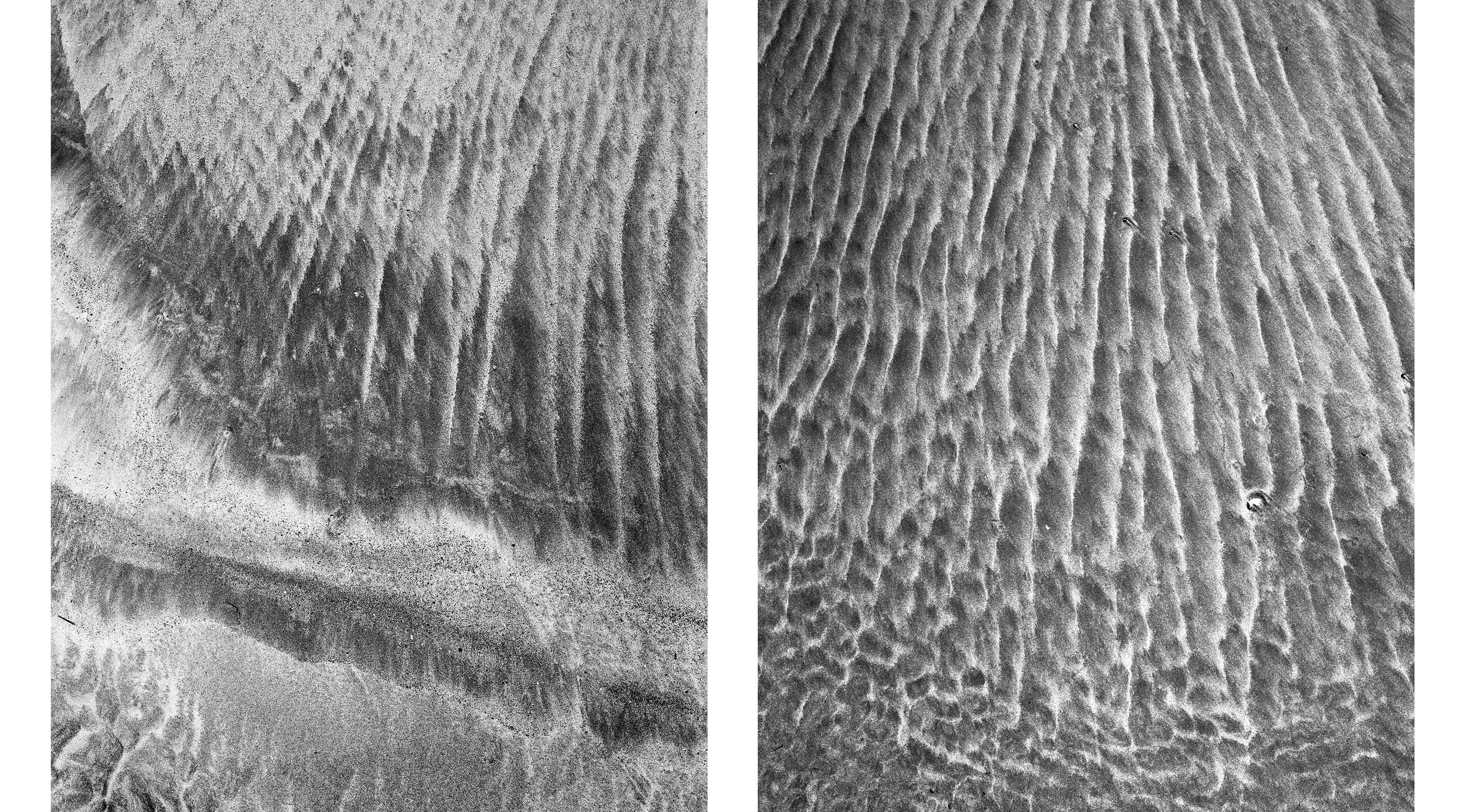 Diptych23.jpg