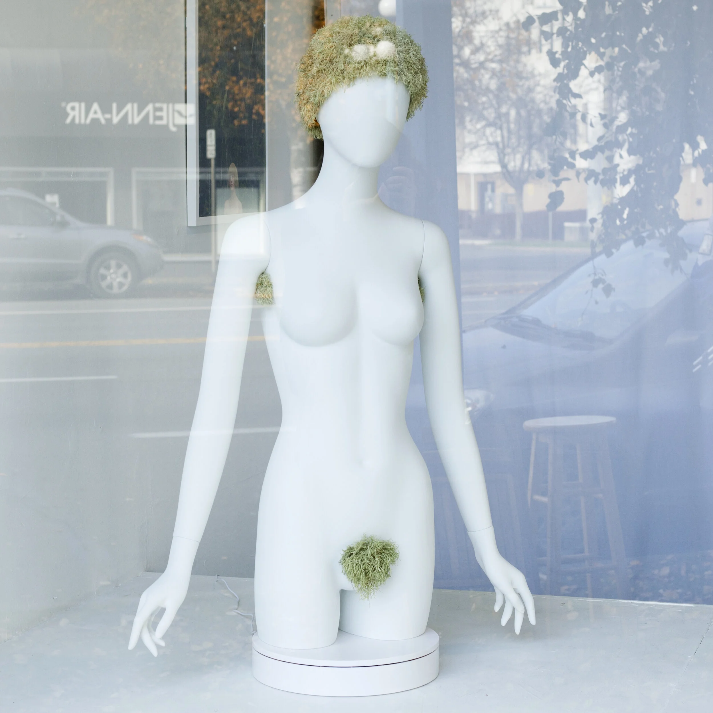 Lichen Wig Window Display (Rootless Designs Boutique)