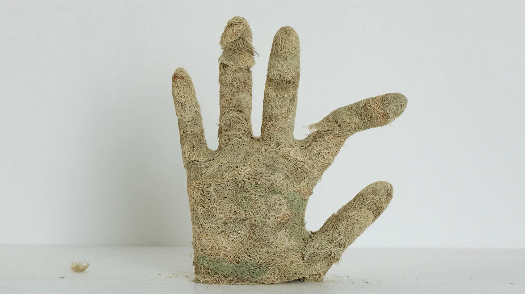 Lichen Hand (test), 2020