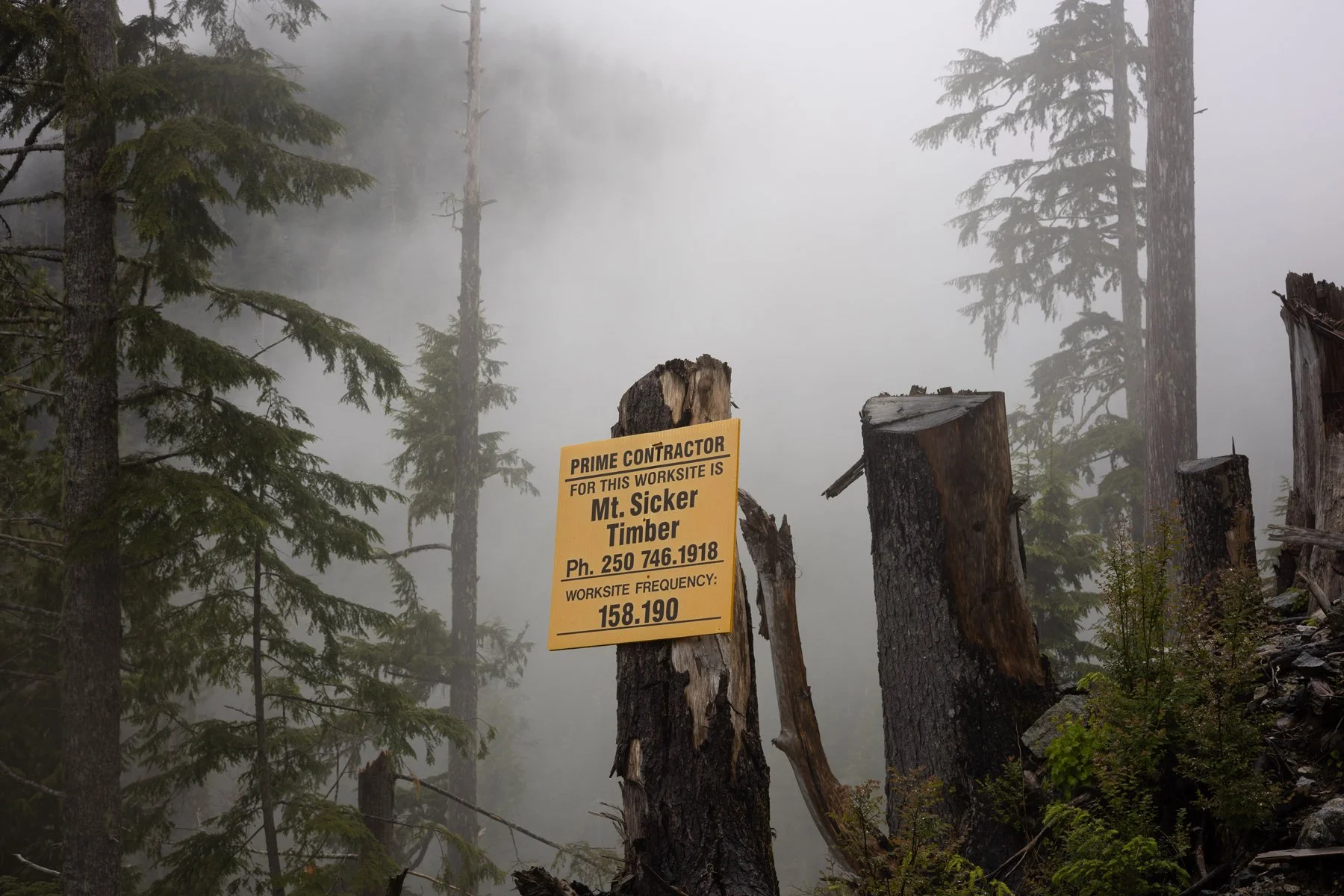 Logging company signage