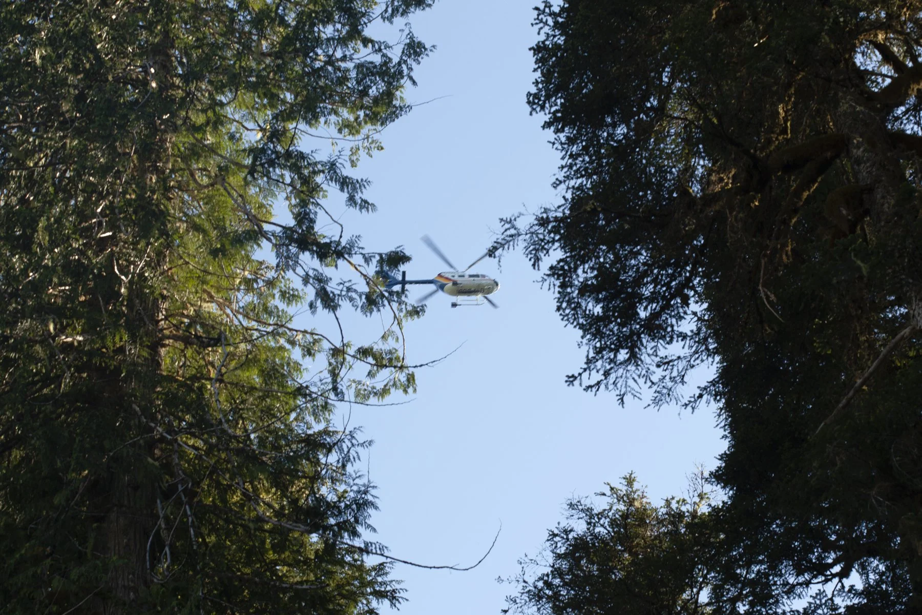 RCMP Surveillance