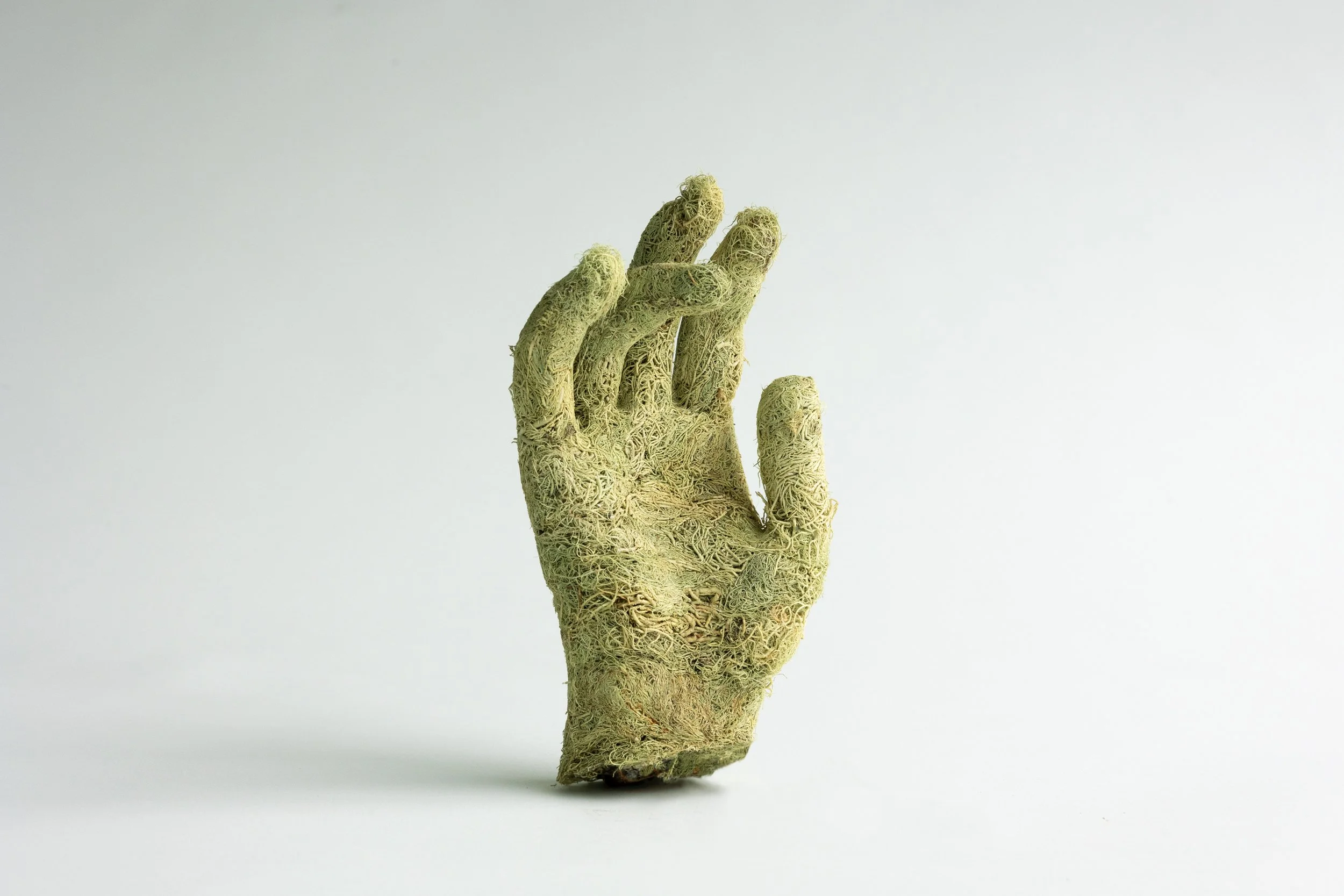 Lichen Hand with Usnea