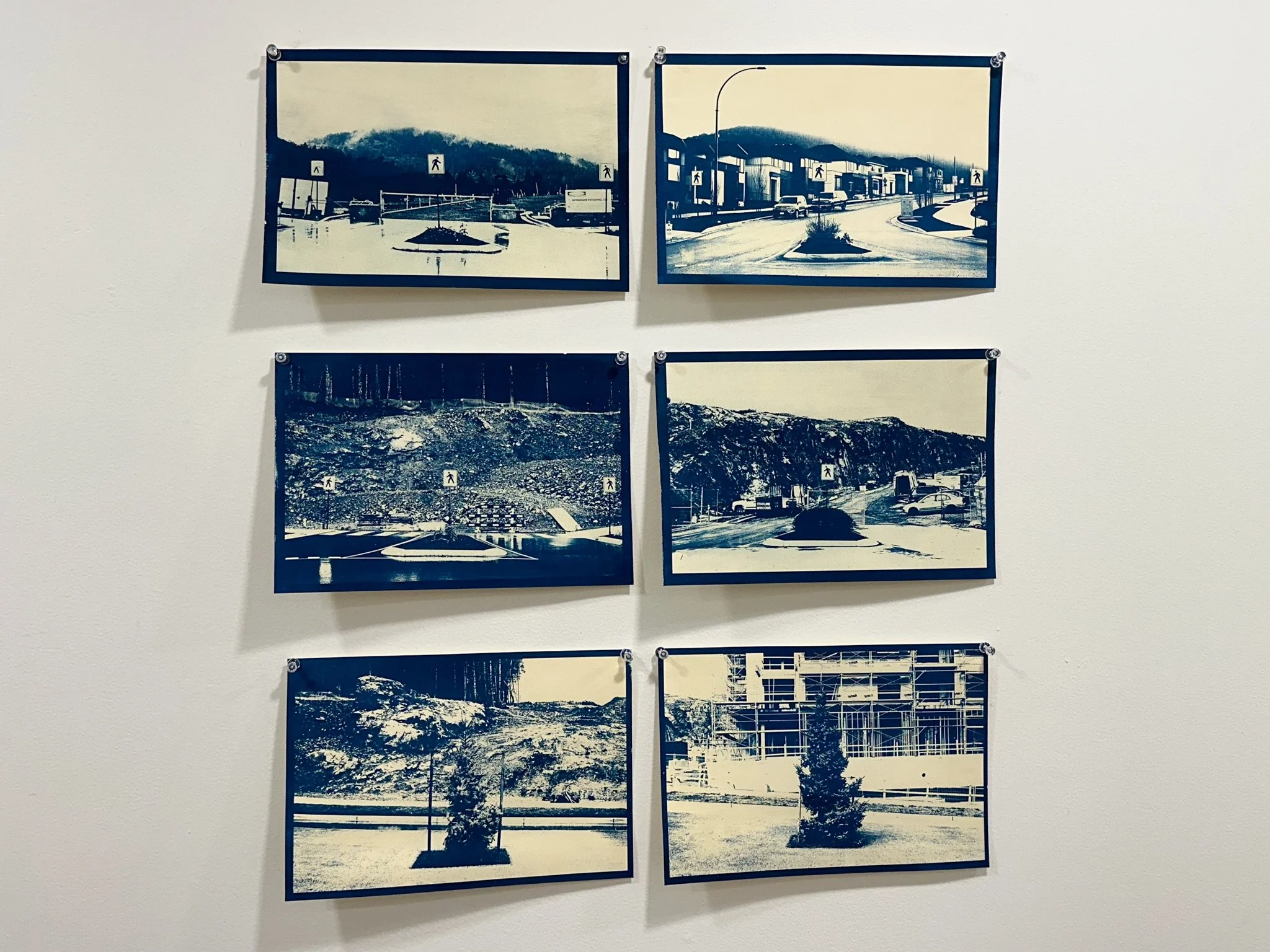 Before and After - Westhills Development, 2025 (cyanotype photo prints on paper)