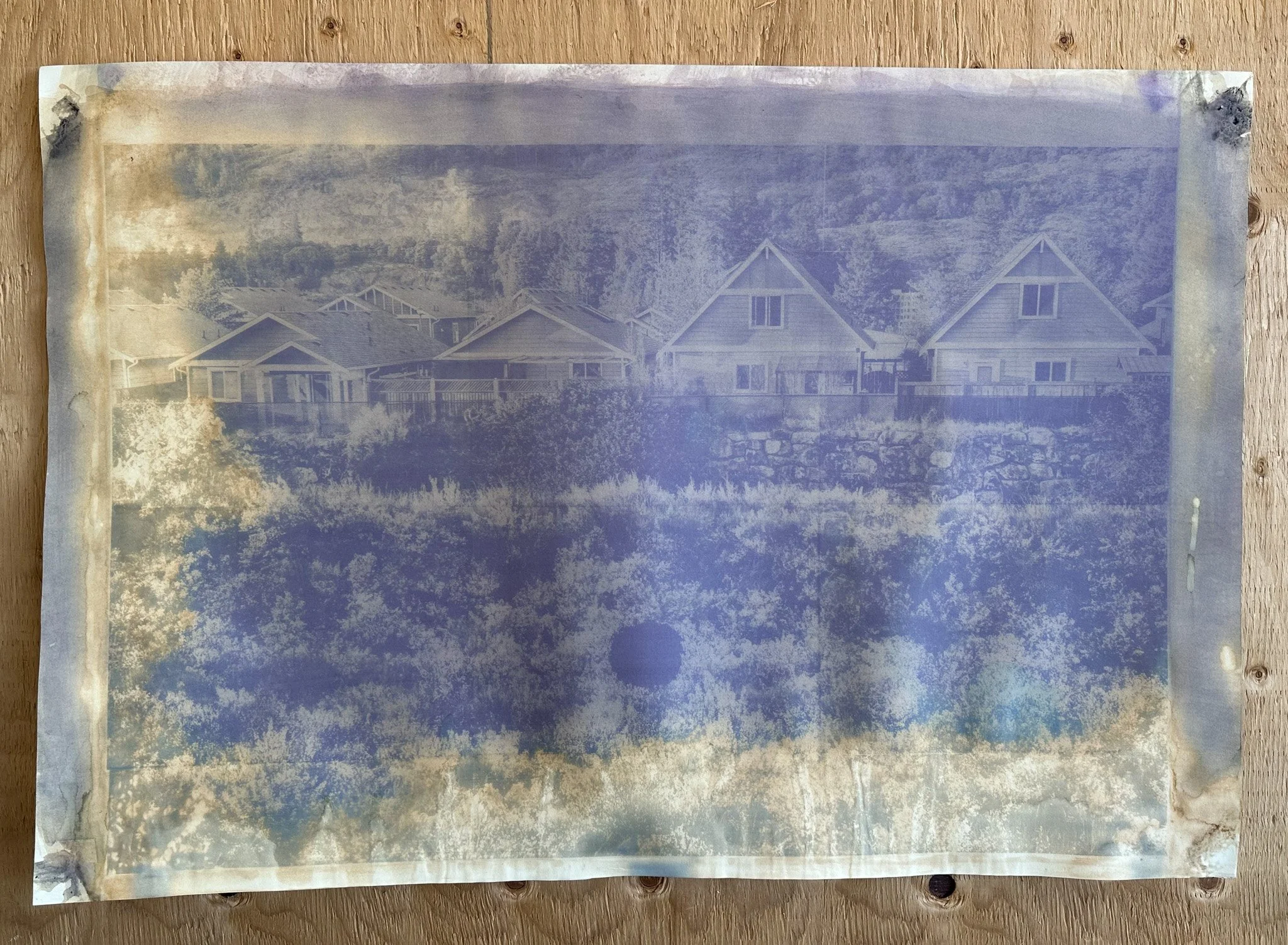 Broom Circle and Houses, 2025 (Anthotype with blackberry juice on paper, mounted on plywood)