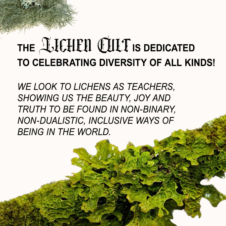 The Lichen Cult as social practice art (a social media post recruiting cult followers and promoting a free lichen walk), 2025.
