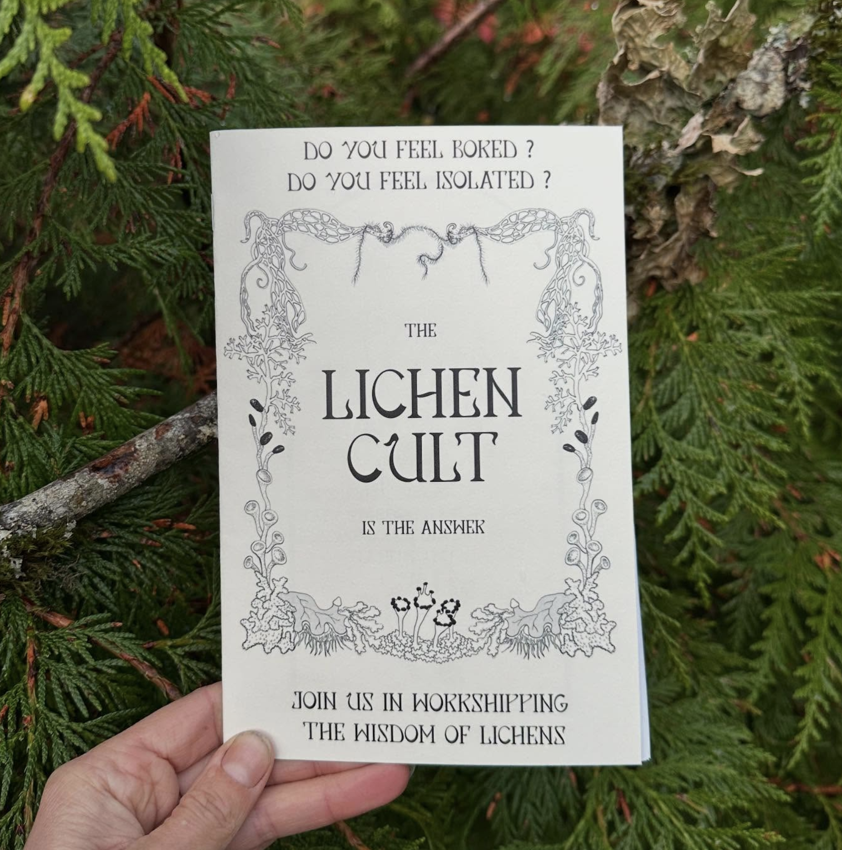 The Lichen Cult Zine, Second Edition (cover option 3), 2024.