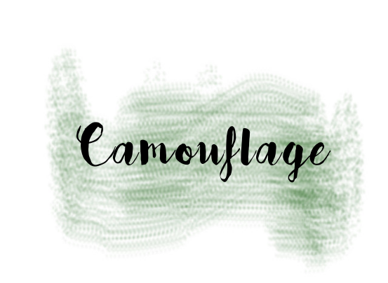 Let's Go Camo