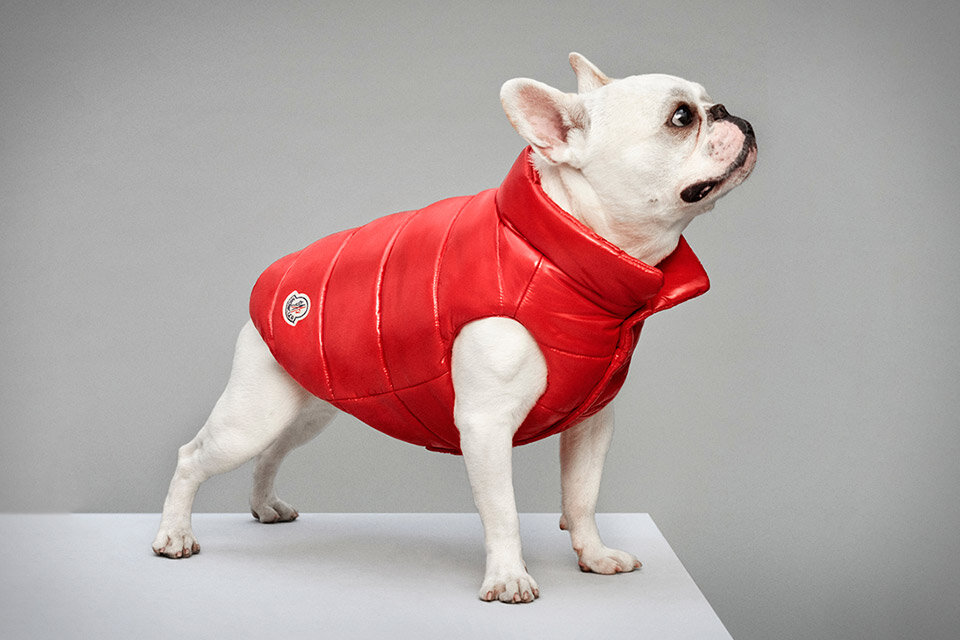 moncler-poldo.jpg