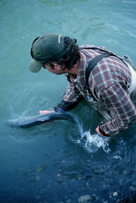Jim Andras Fly Fishing Guide - Rogue RIver, Klamath River, South