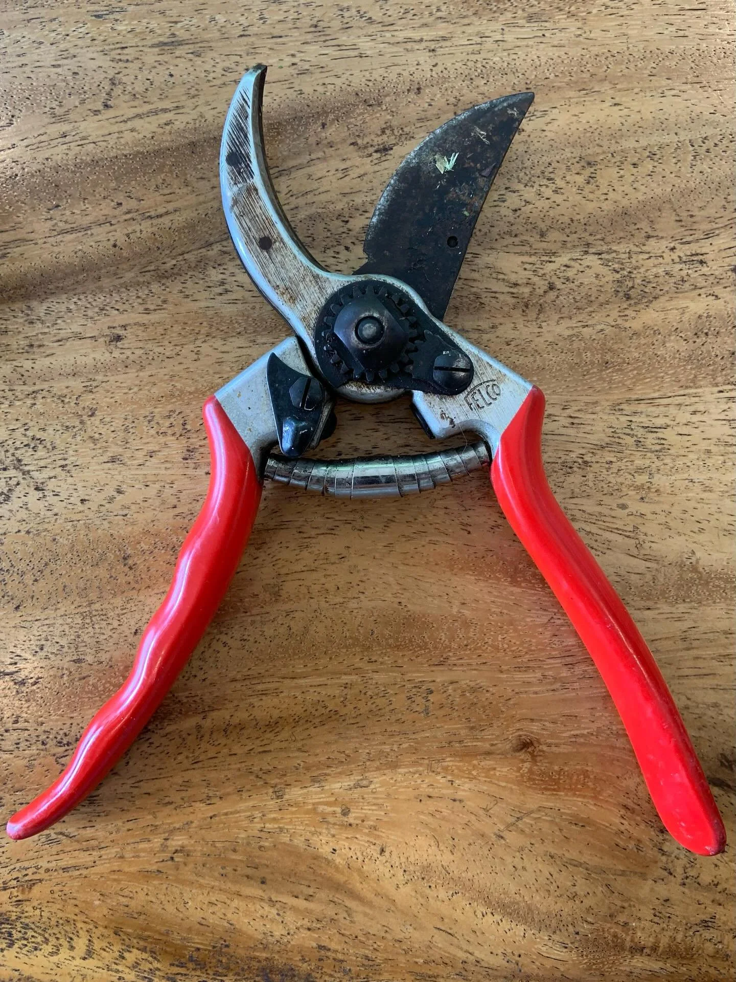 Scrubbed away the rust off the OG @felco_official pruners (as old as the food forest; six years old) while homeschooling the little boy. Love the results! I suppose I could disassemble it for a more thorough cleaning, but this would have to do for no