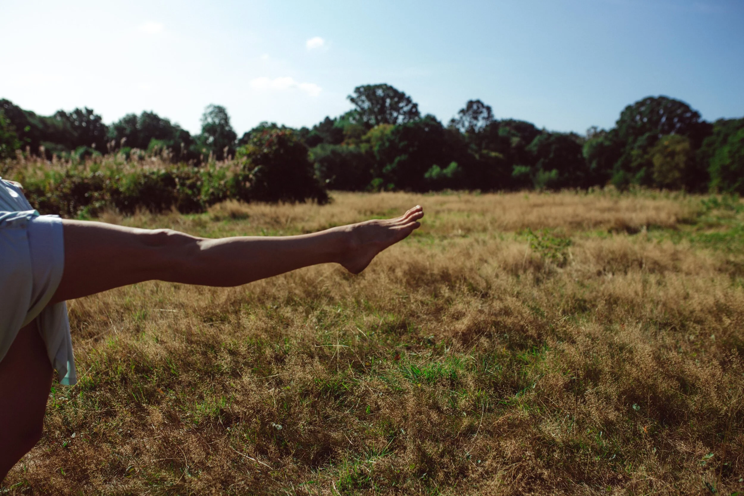 Clarity &amp; Direction