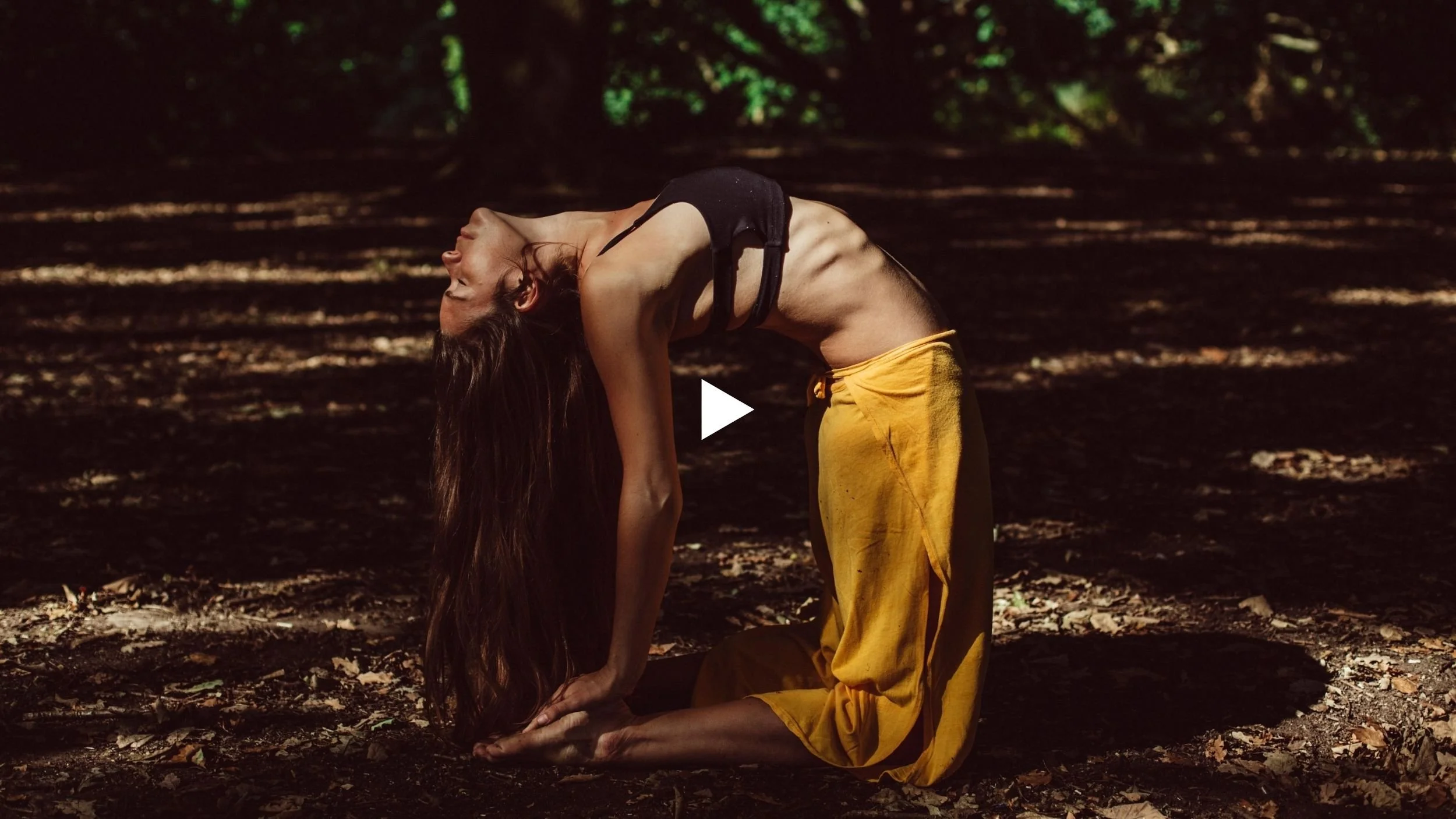 Soft Axis: The Gut Tube