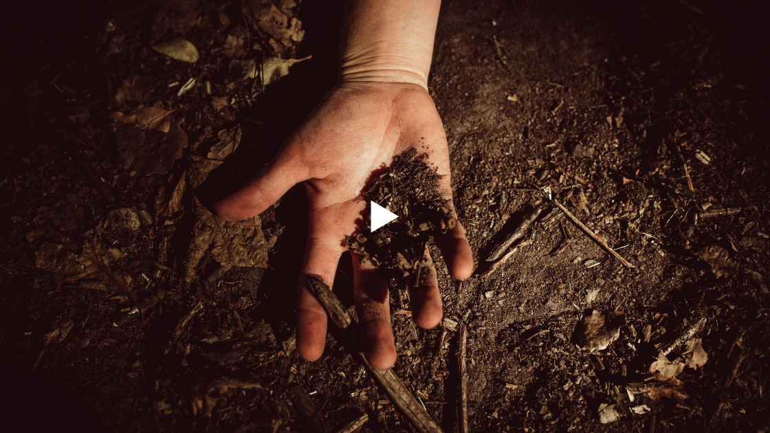  Module 1 practice: vibration and cellular breathing 