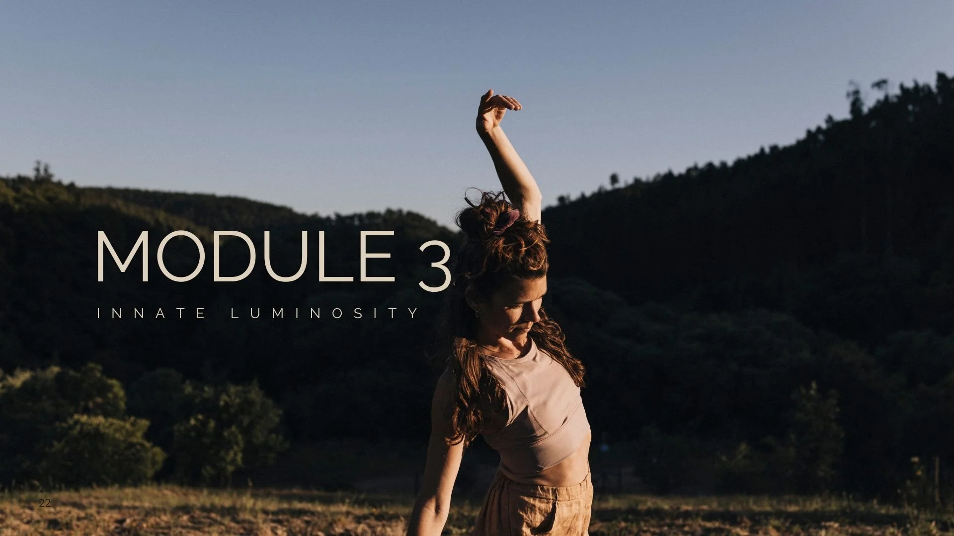 Module 3: Innate Luminosity // Muscles 