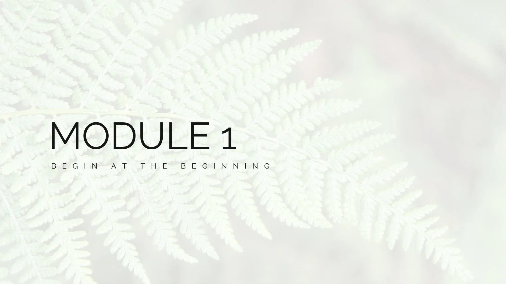  Module 1: Begin at the Beginning