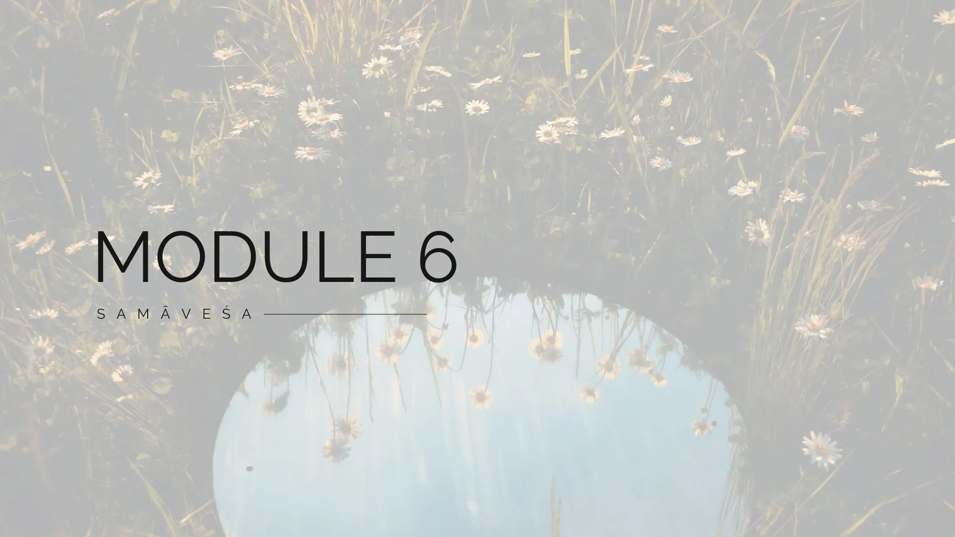 Module 6: Samāveśa