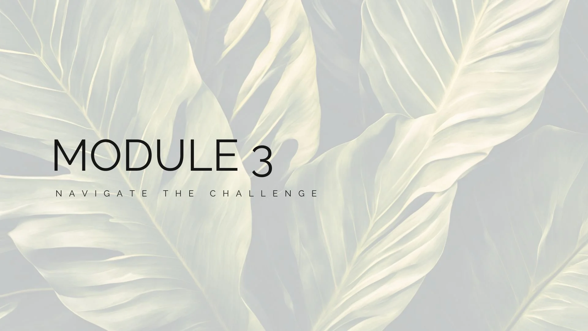  Module 3: Navigate the Challenge 