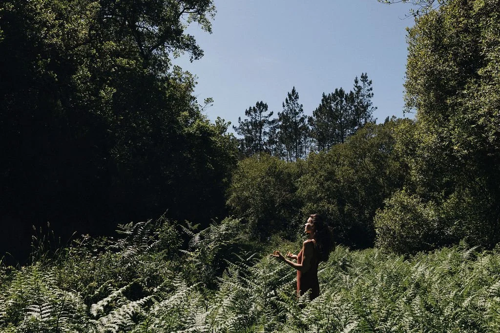 Module 6 final call: closing the container