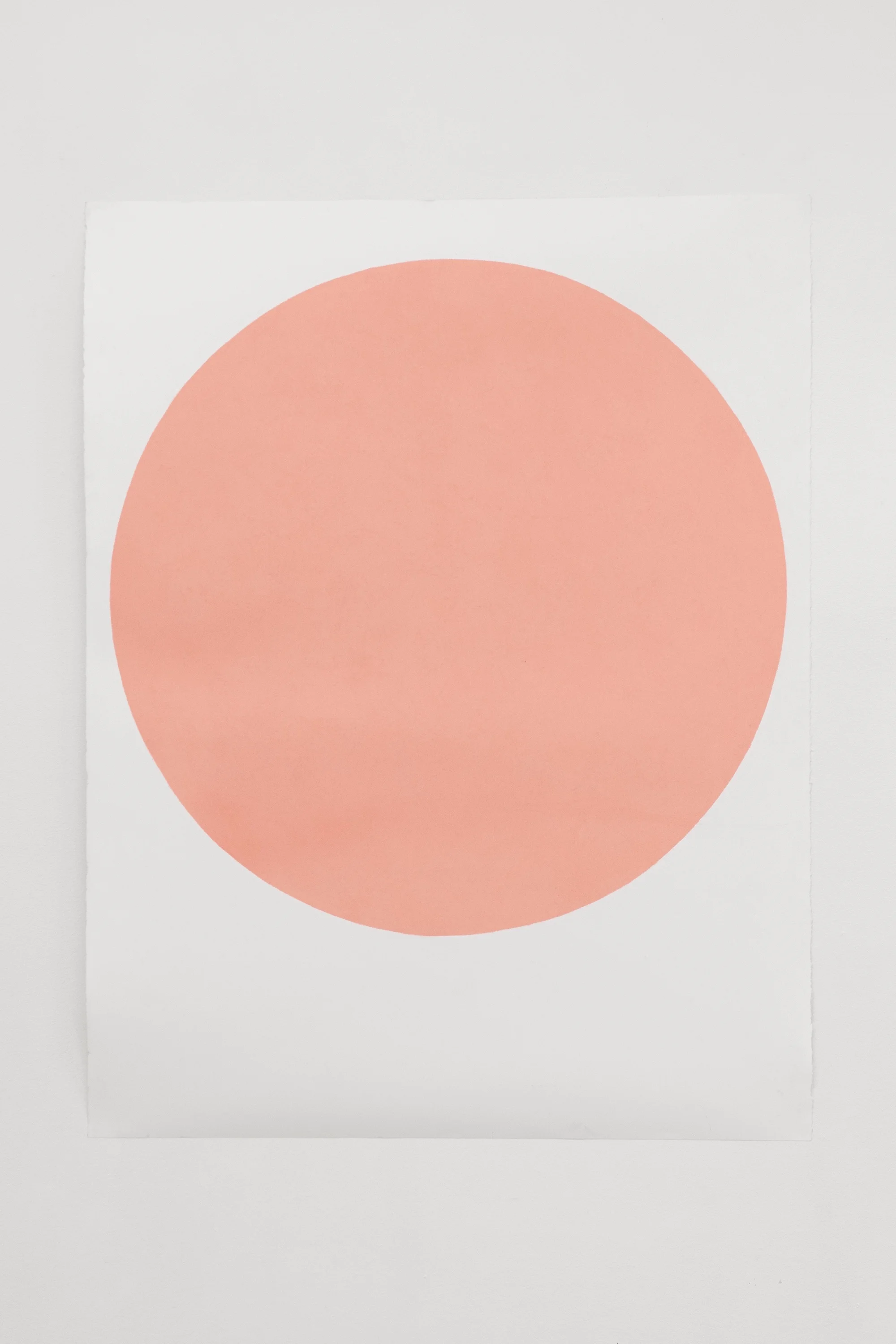 Eternal V , 2017 Pastel stick on paper 125 x 97 cm / 50x38in Photo: Jan Inge Haga