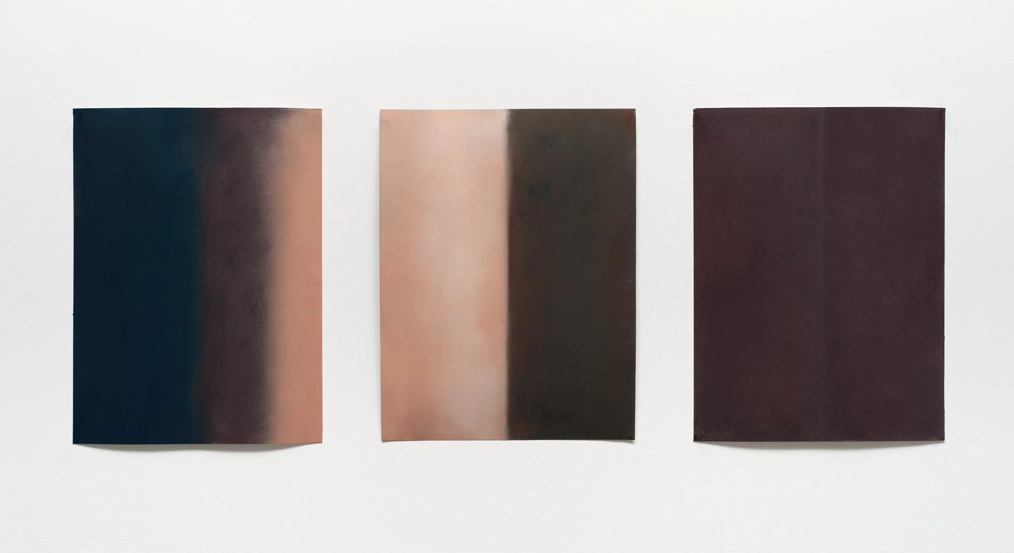  Dual Nature I, II &amp;  III, 2026  Pastel chalk on paper, 30x22 cm / 11 x 8.7 in 