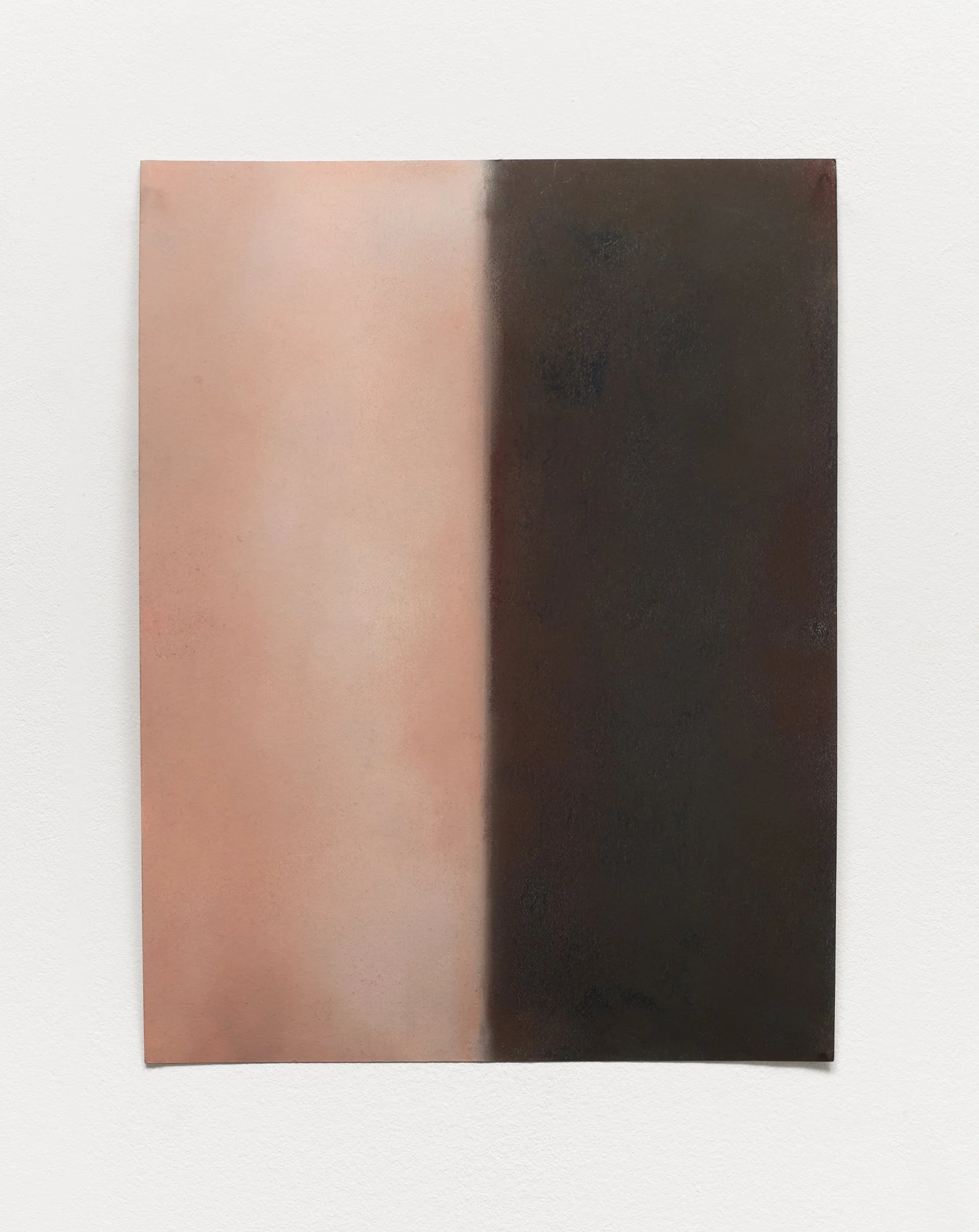  Dual Nature II, 2026  Pastel chalk on paper, 30x22 cm / 11 x 8.7 in 