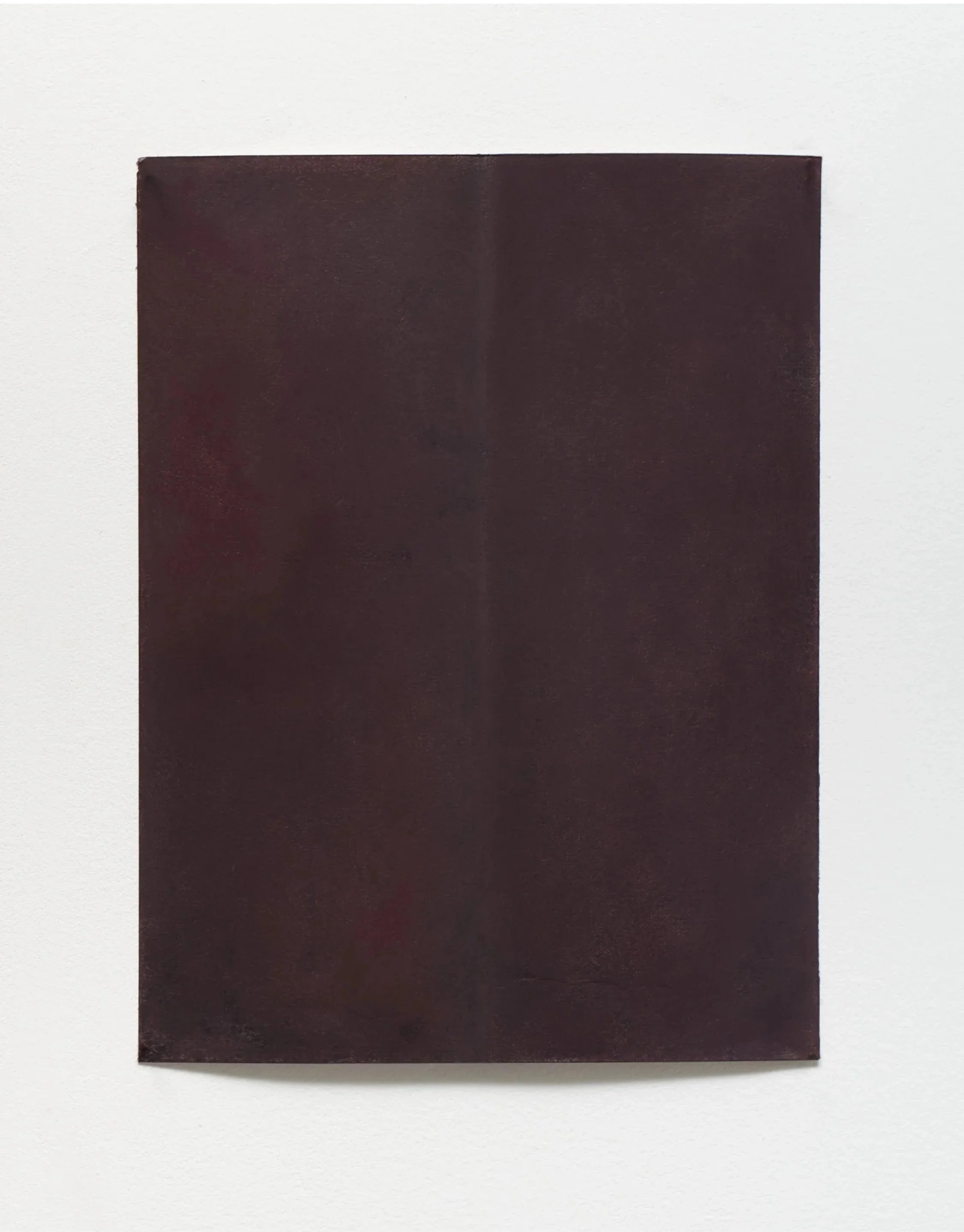  Dual Nature III, 2026  Pastel chalk on paper, 30x22 cm / 11 x 8.7 in 