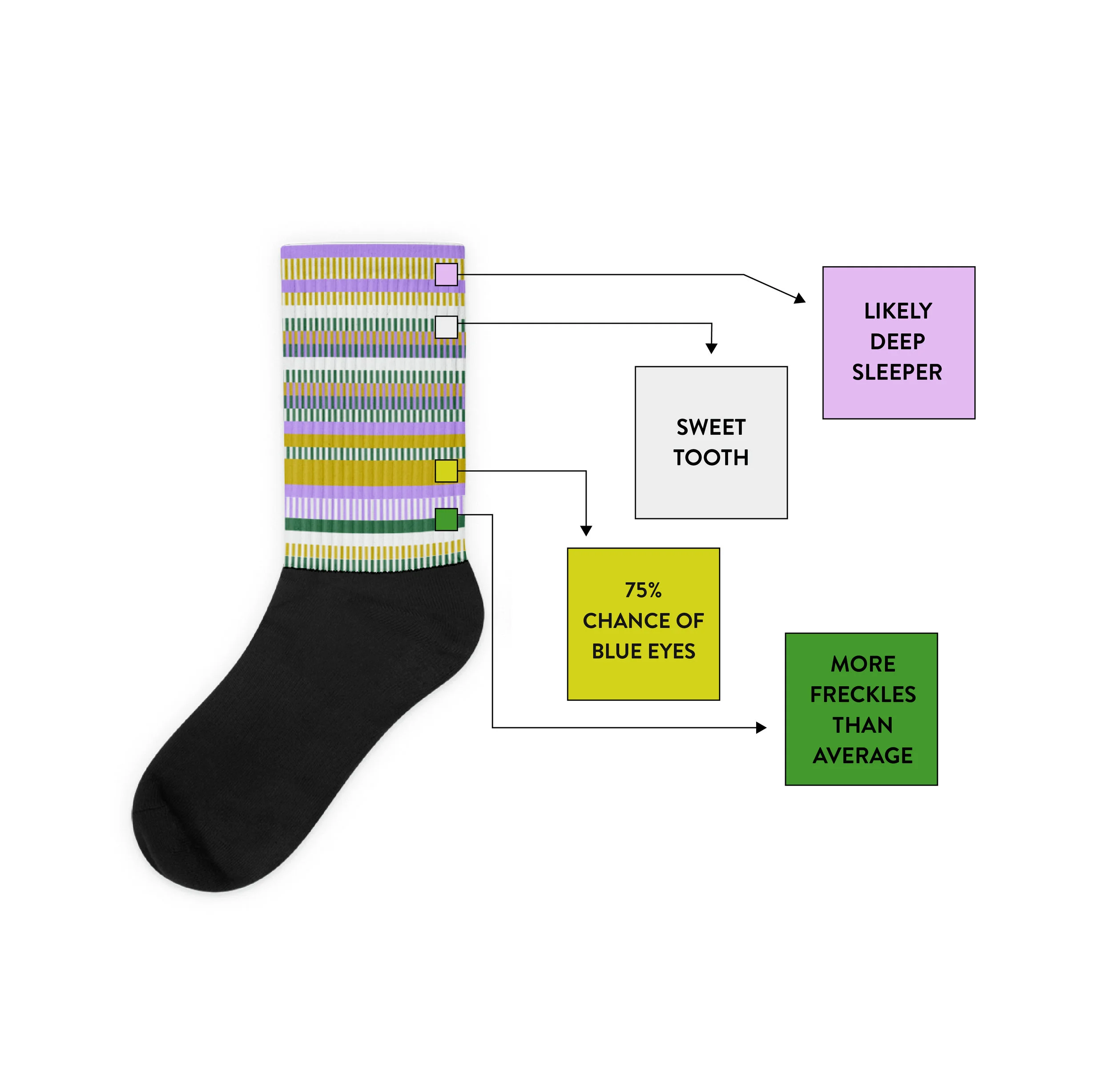 Socks Explain-22.jpg