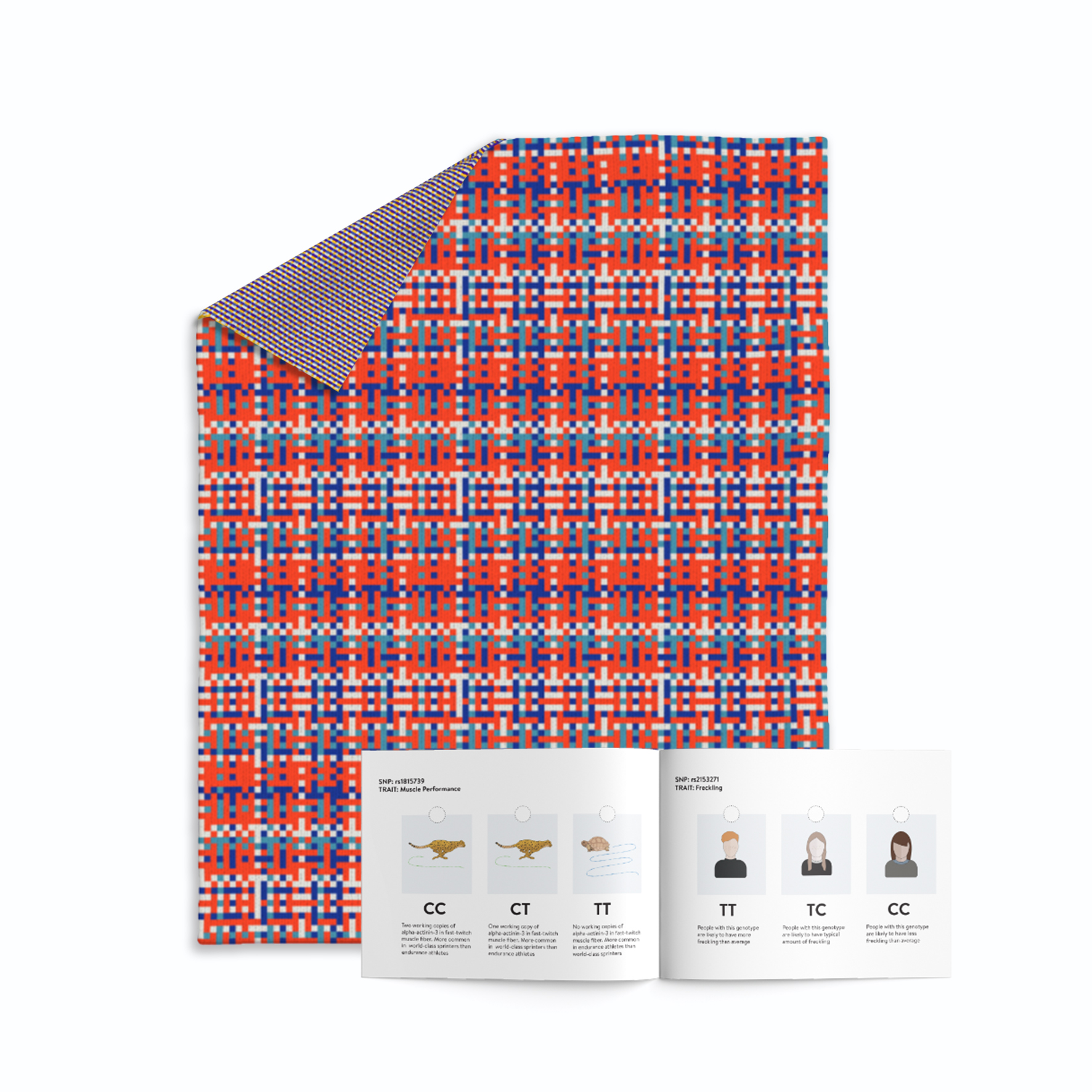 Tartan02.jpg