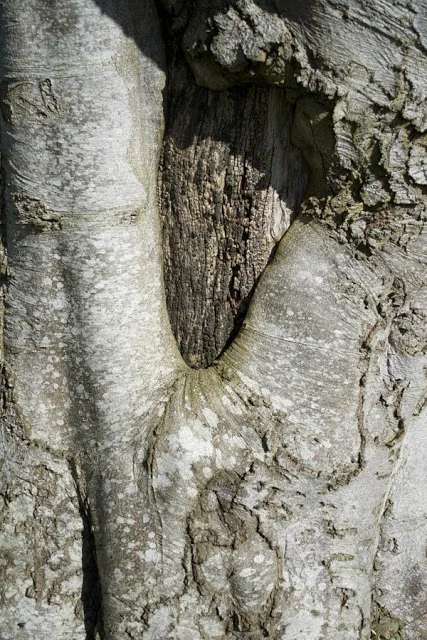 bunker4-web.jpg