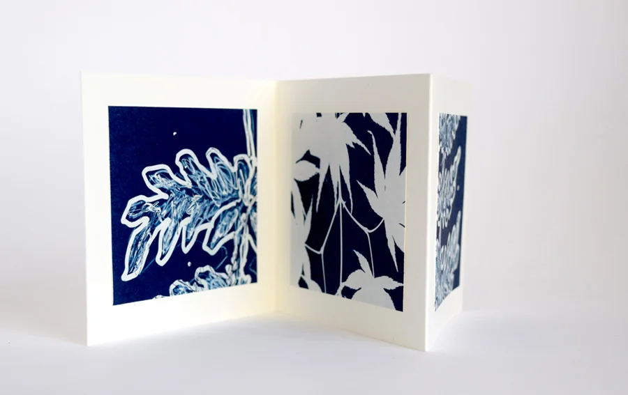 web-cyanotype-01.jpg