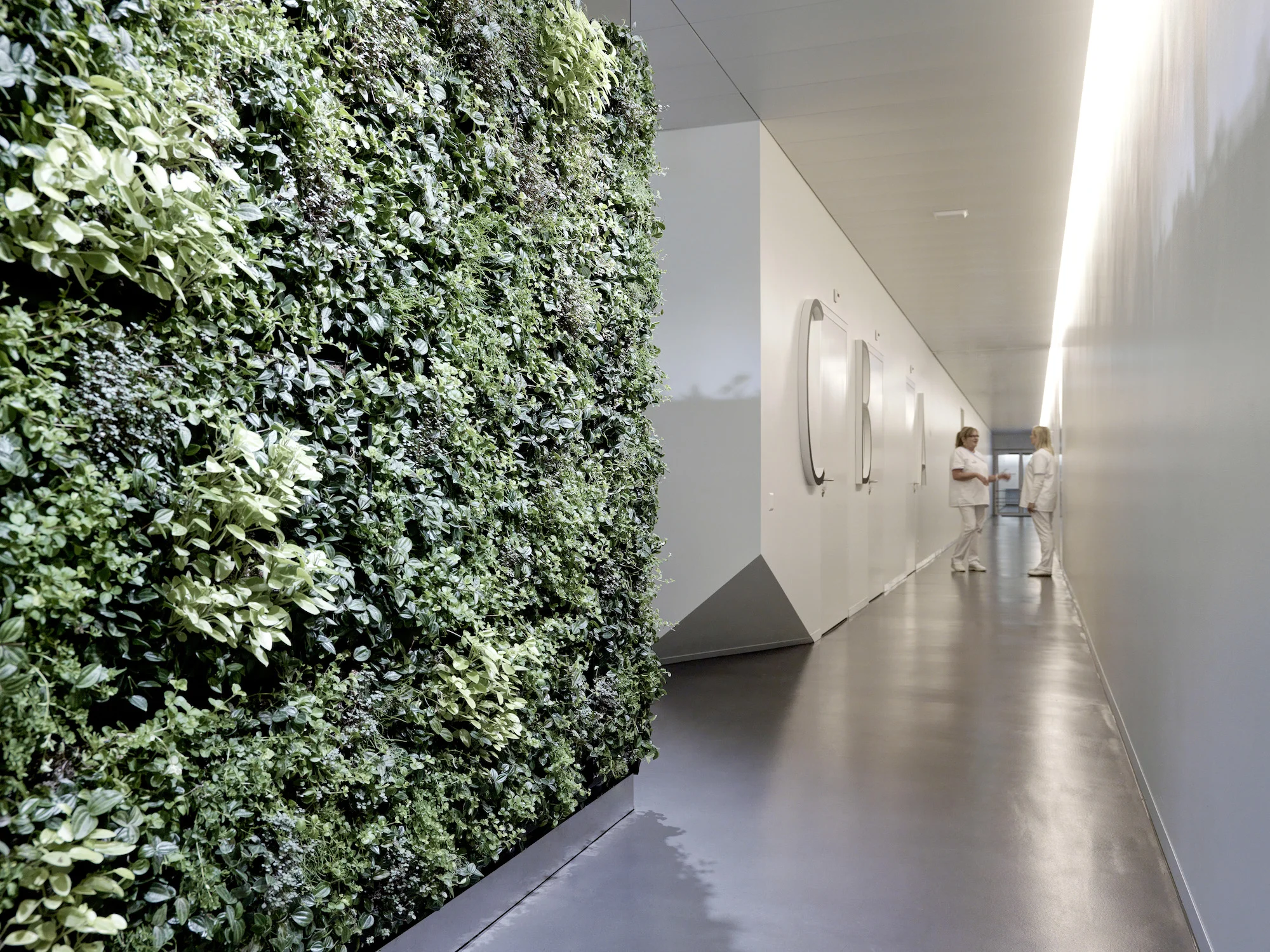 Hir_0078_D Kopie.jpg