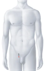 Mitraclip.jpeg