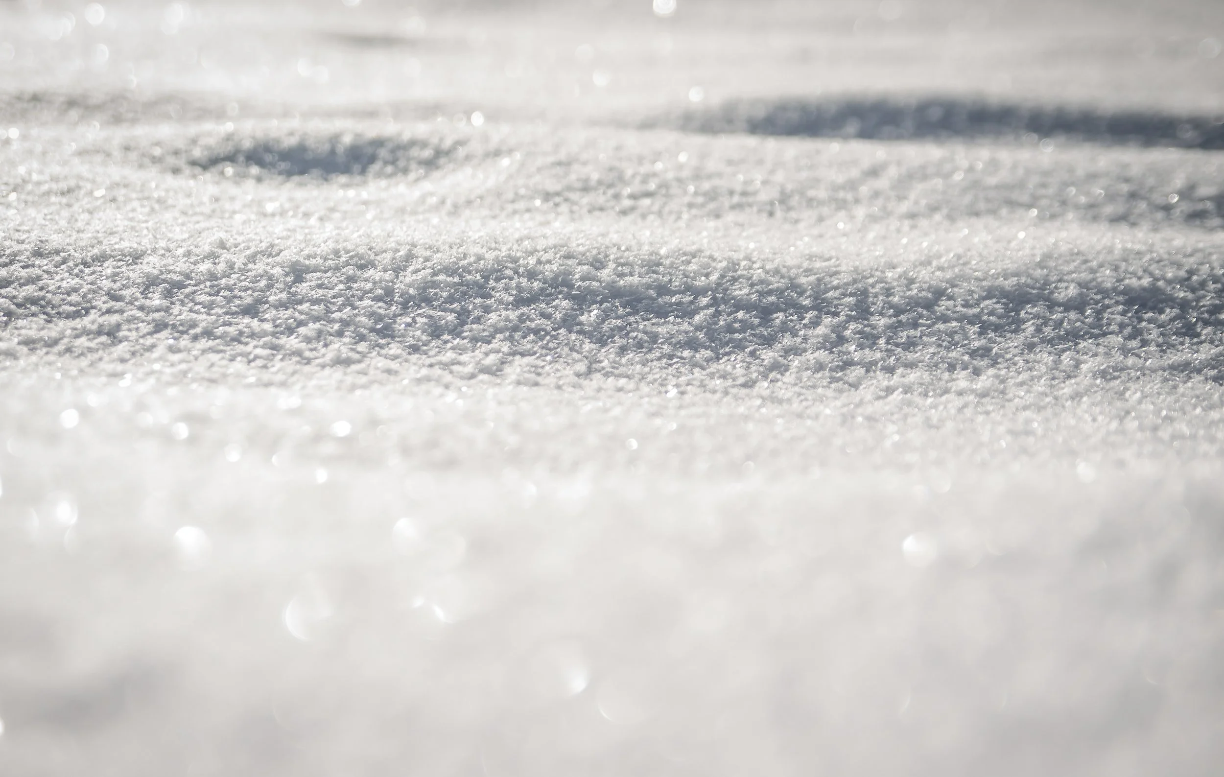 Schubert: Winterreise