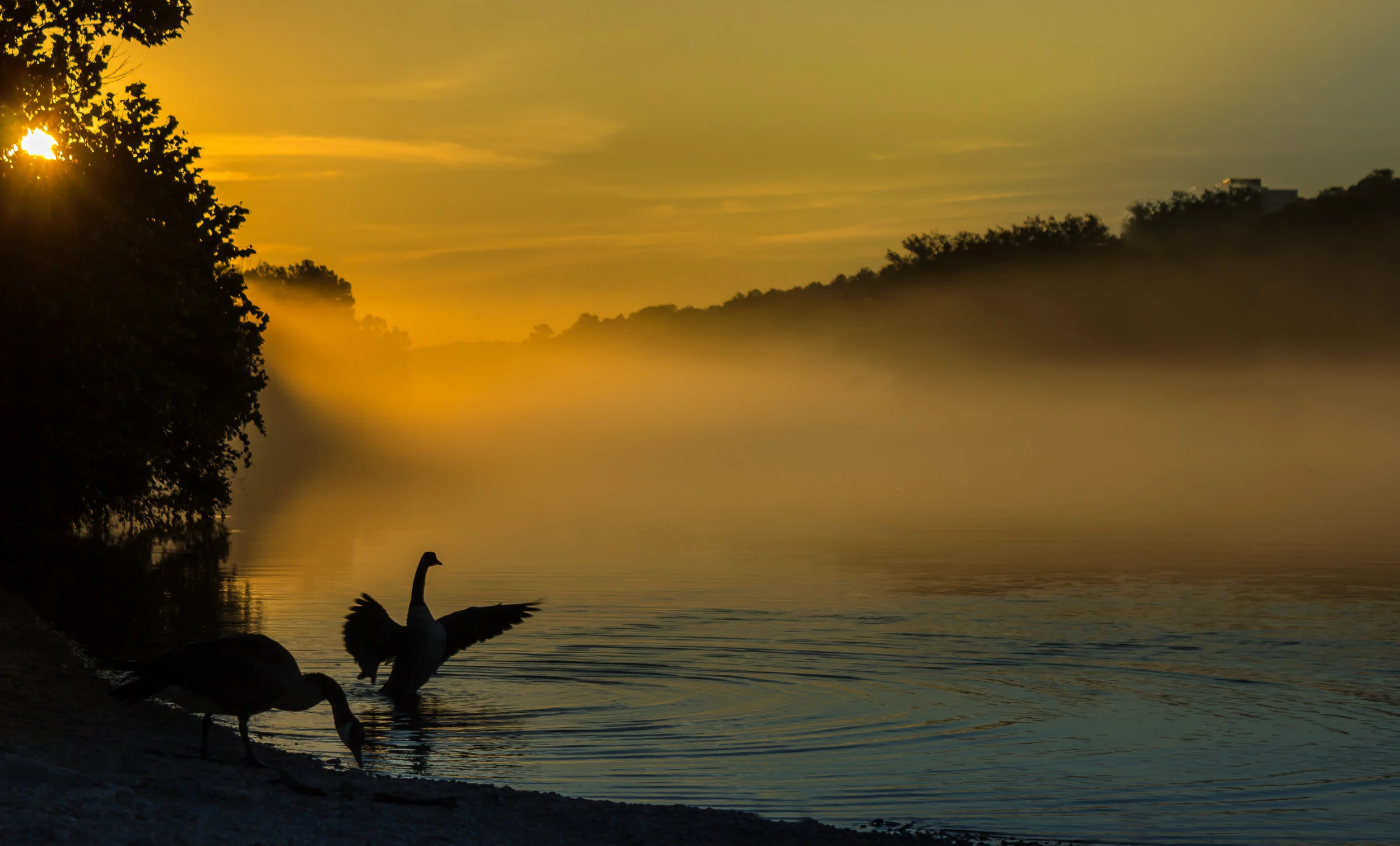 München / Liederabend